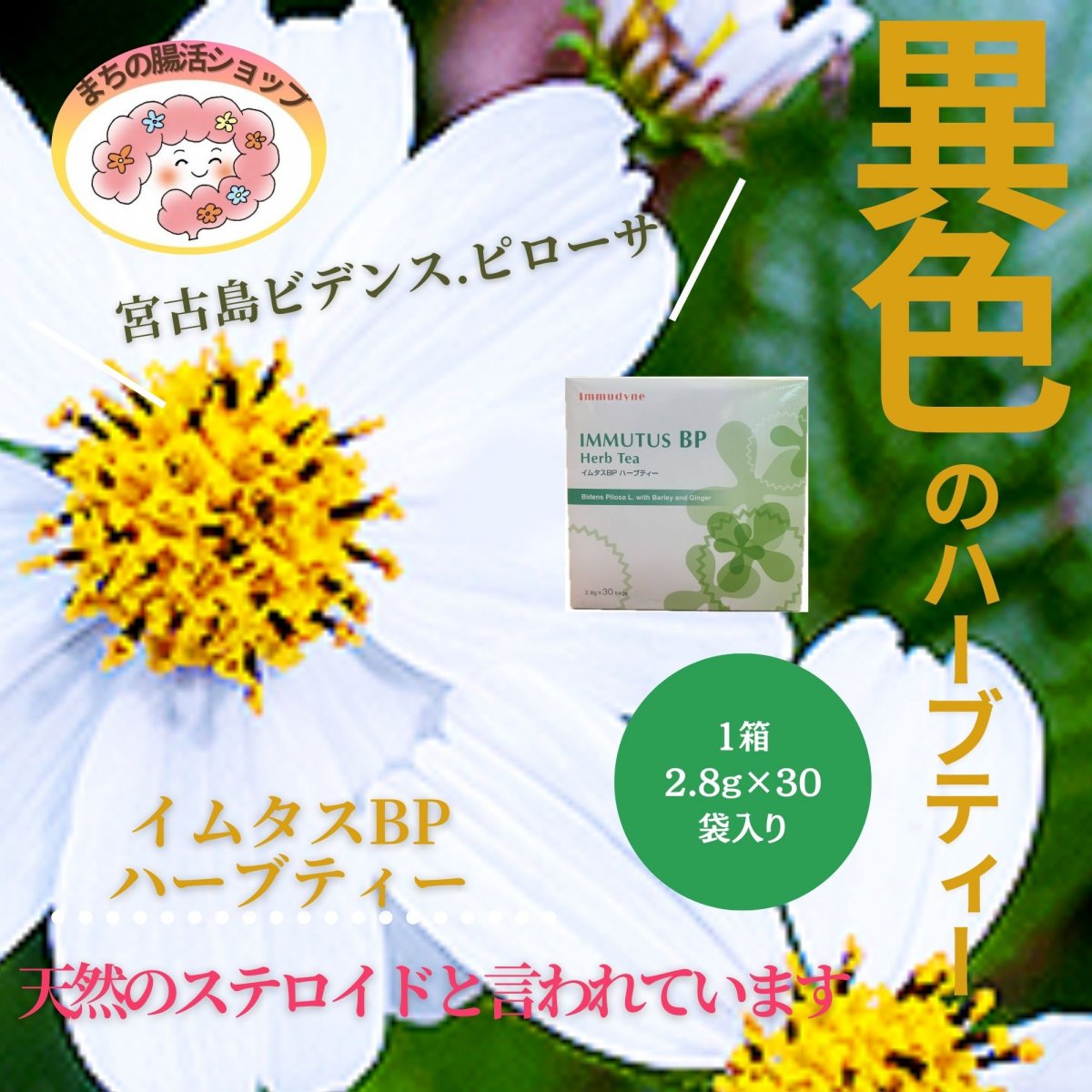 イムタスBPハーブティー 宮古島ビデンス・ピローサ(MMBP)加工茶【2.8g×30袋入り】