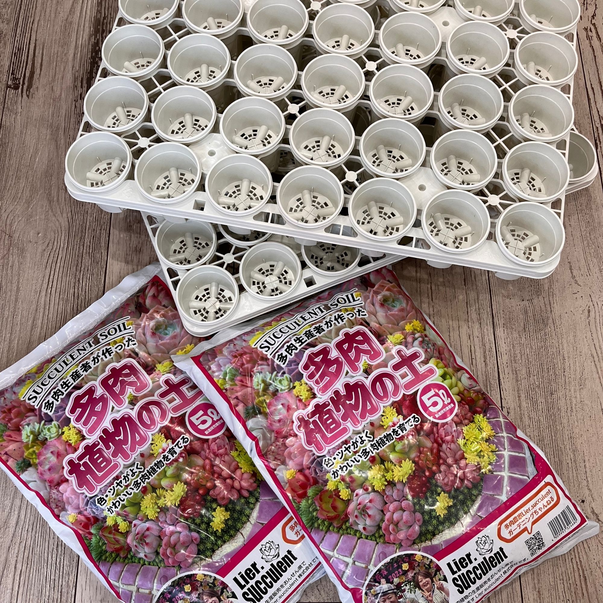 大☆リエールオリジナル土・トレー・必殺鉢セット｜多肉植物が大好きな