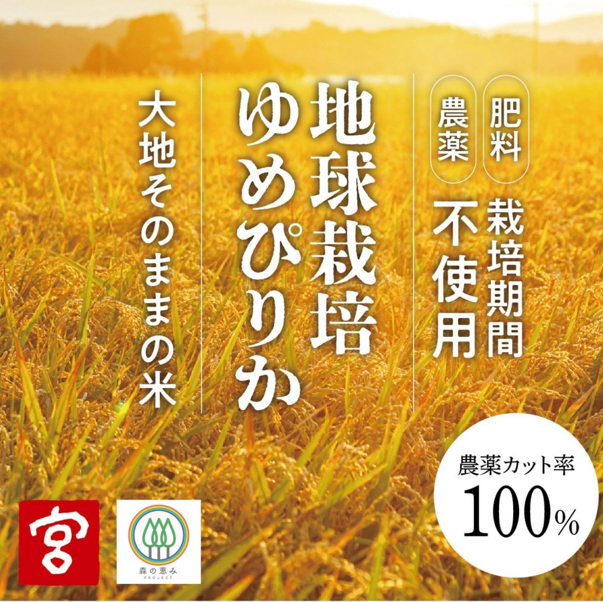 東神楽の健康おたくのお米｜みやもとふぁ〜む
