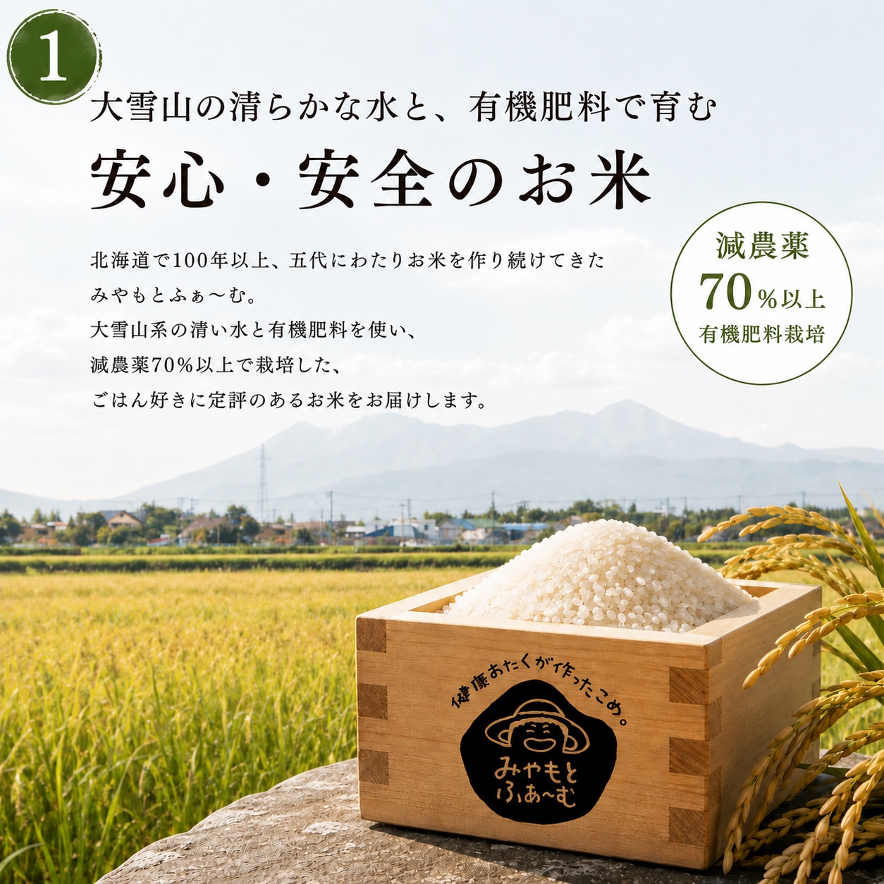 予約販売 9月下旬以降発送』【玄米30kg】ごまの恵み ゆめぴりか 令和8
