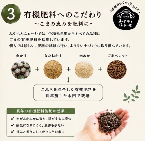 予約販売 9月下旬以降発送』【玄米30kg】ごまの恵み ゆめぴりか 令和8