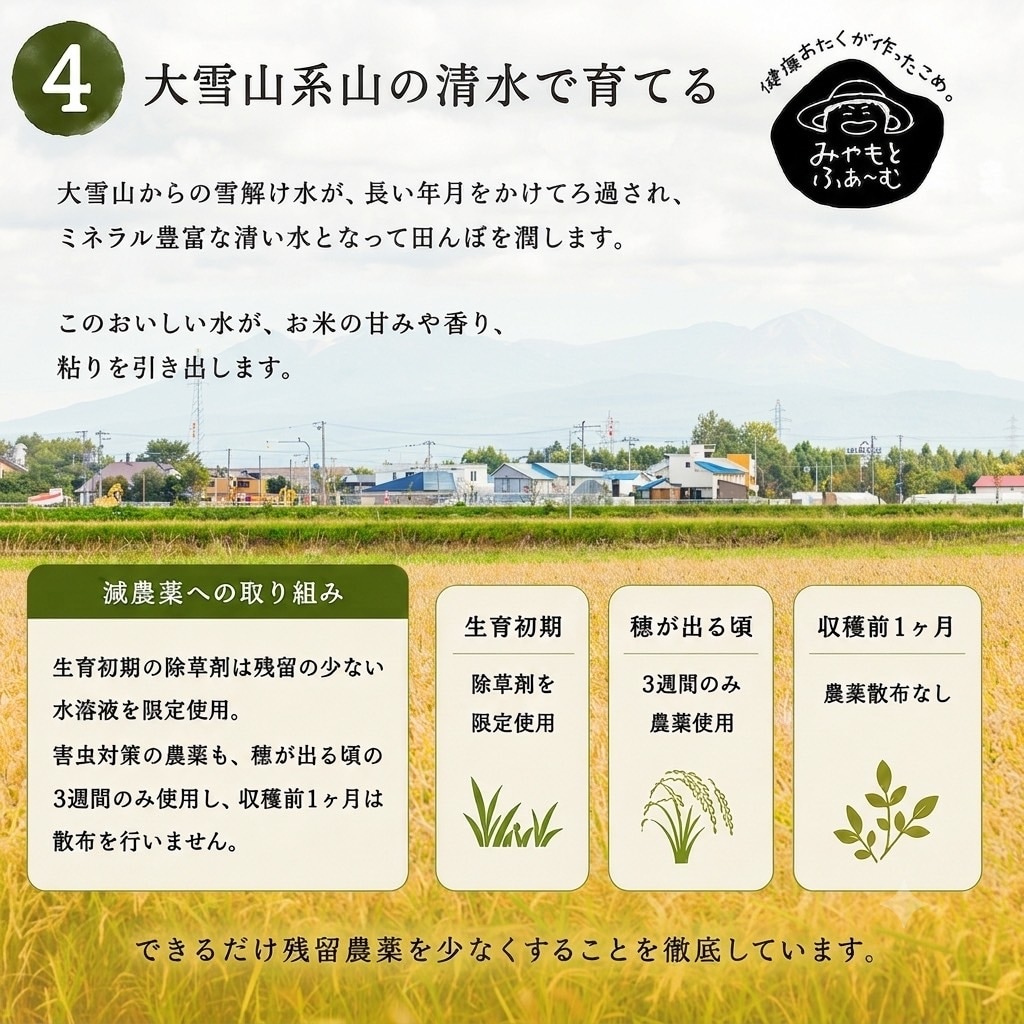 予約販売 9月下旬以降発送』【玄米30kg】ごまの恵み ゆめぴりか 令和8