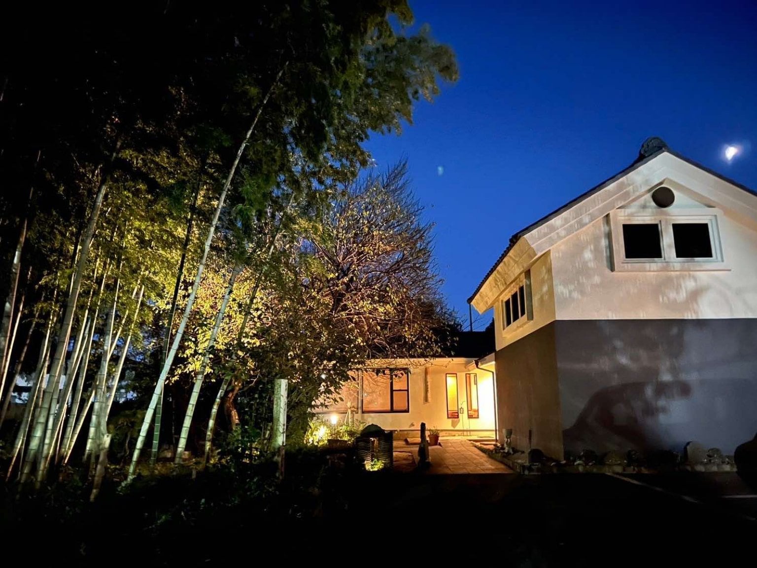 桜日和、蔵で奏でるボサノヴァライブ