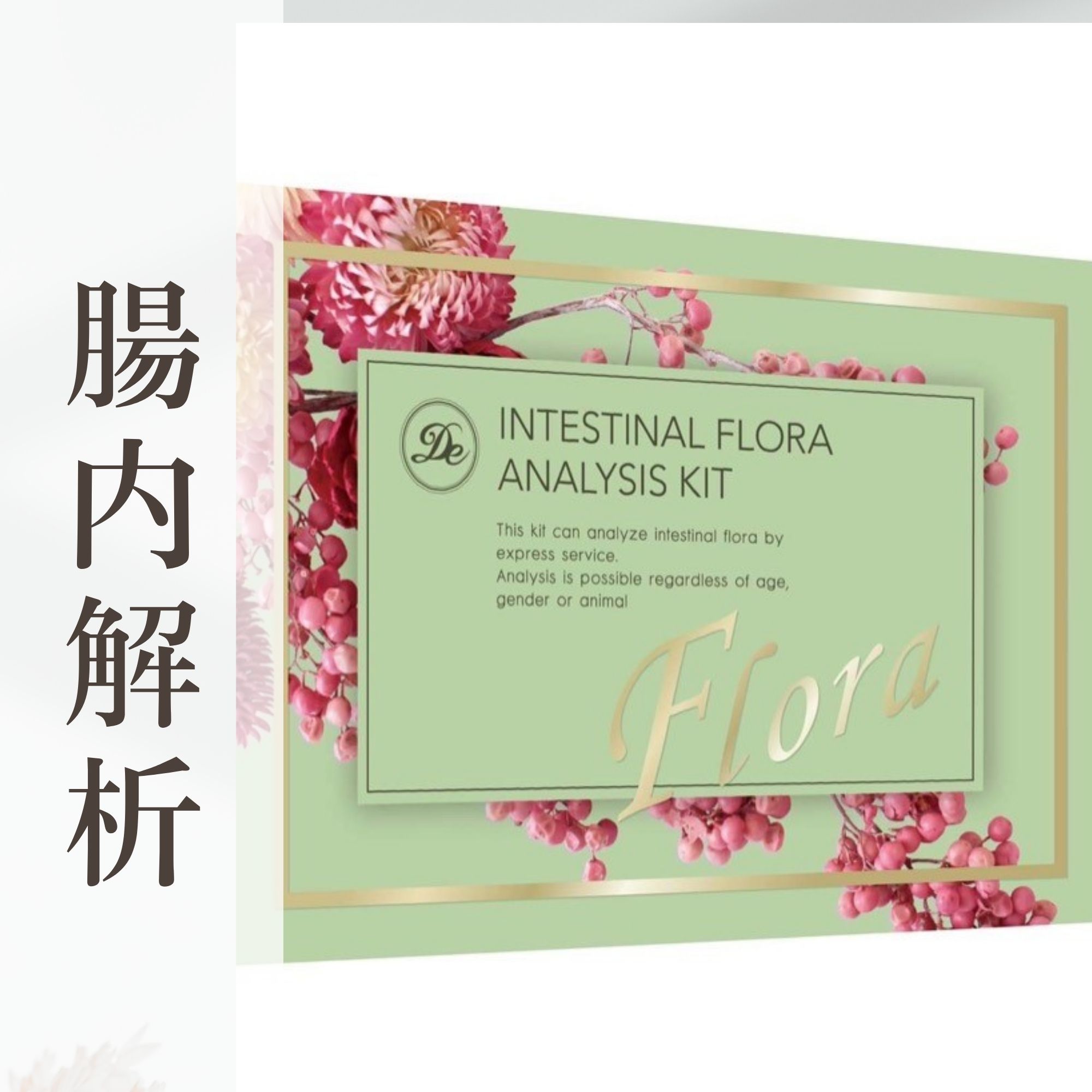 腸内フローラ検査キット※プランニング付き
