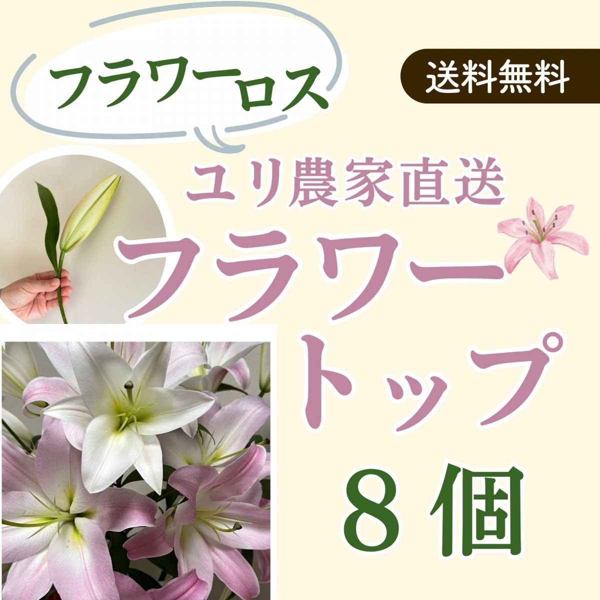 【フラワーロス】フラワートップ（シグナム花首：白　8本）