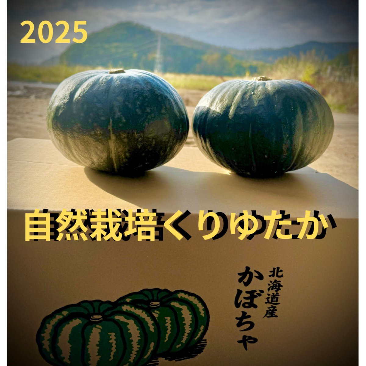 2025年度『10kg』自然栽培くりゆたか