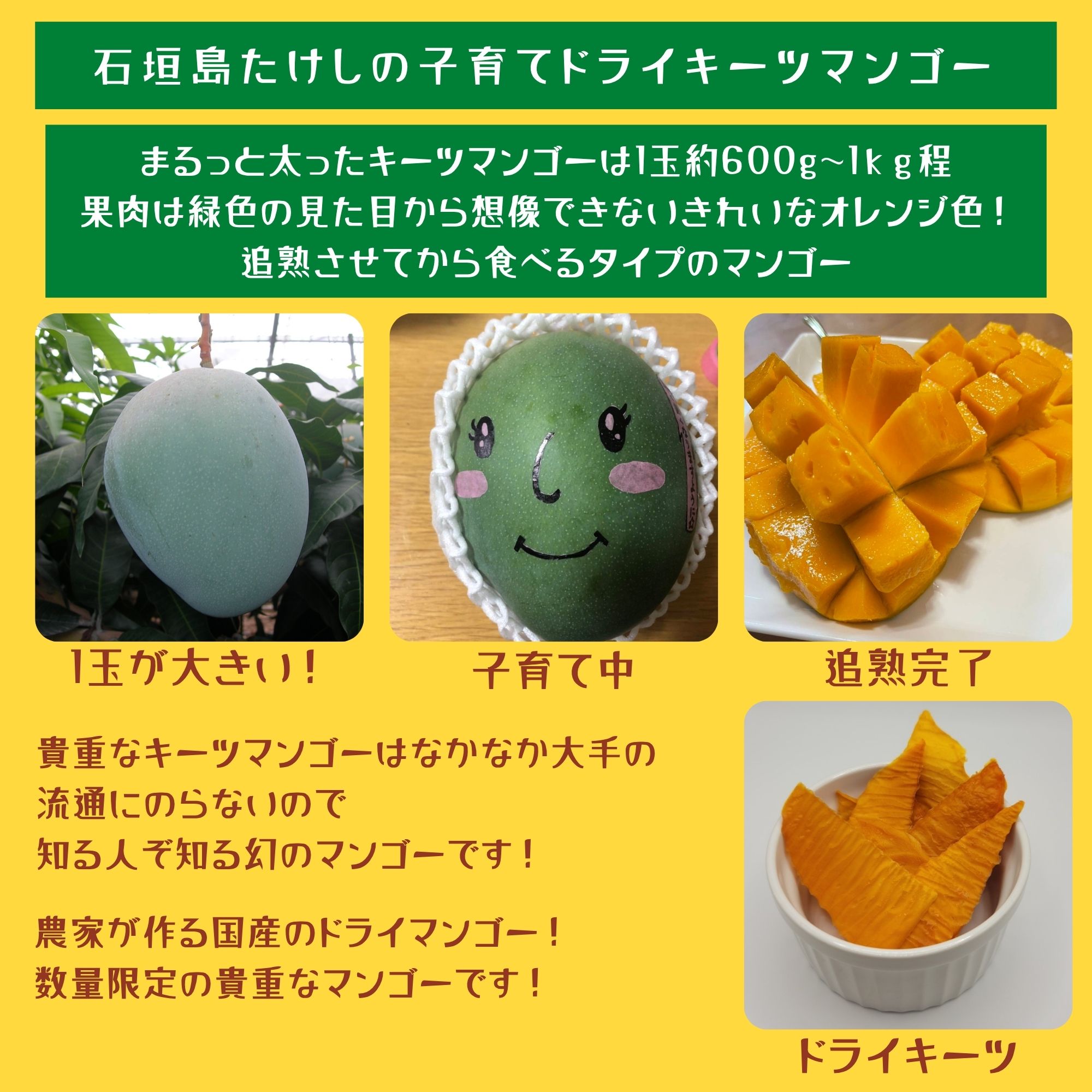 数量限定！石垣島たけしの子育てドライキーツマンゴー