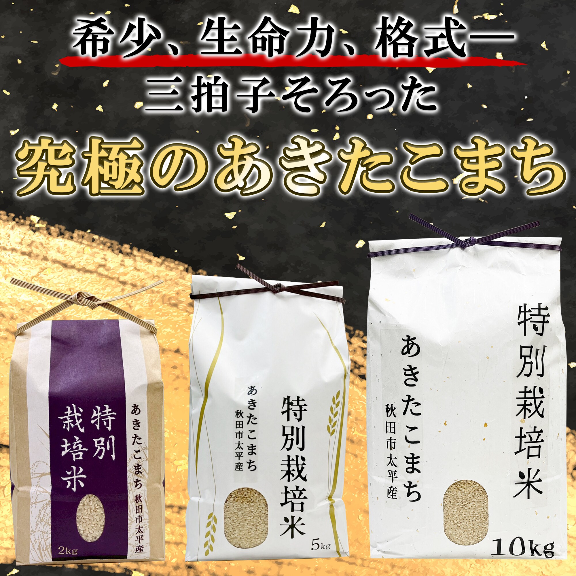 玄米5Kg】秋田県太平産あきたこまち/農家直送特別栽培米/令和7年度産