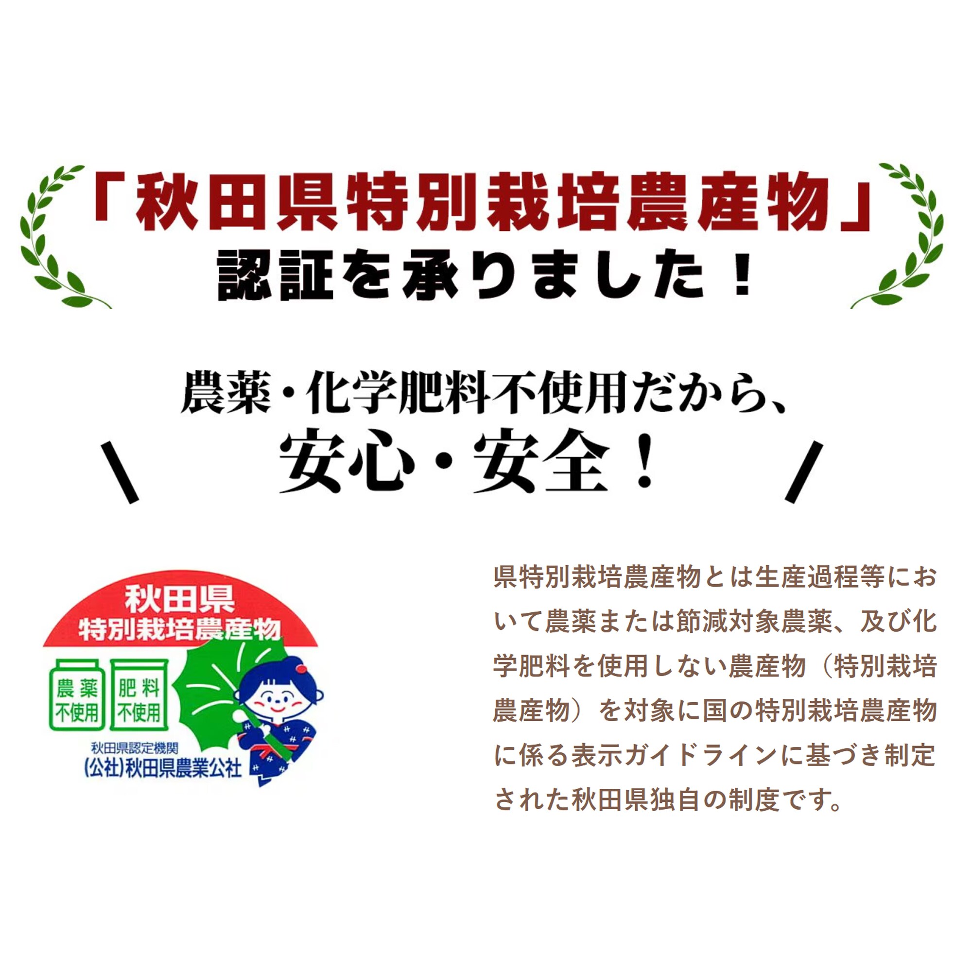 玄米5Kg】秋田県太平産あきたこまち/農家直送特別栽培米/令和7年度産