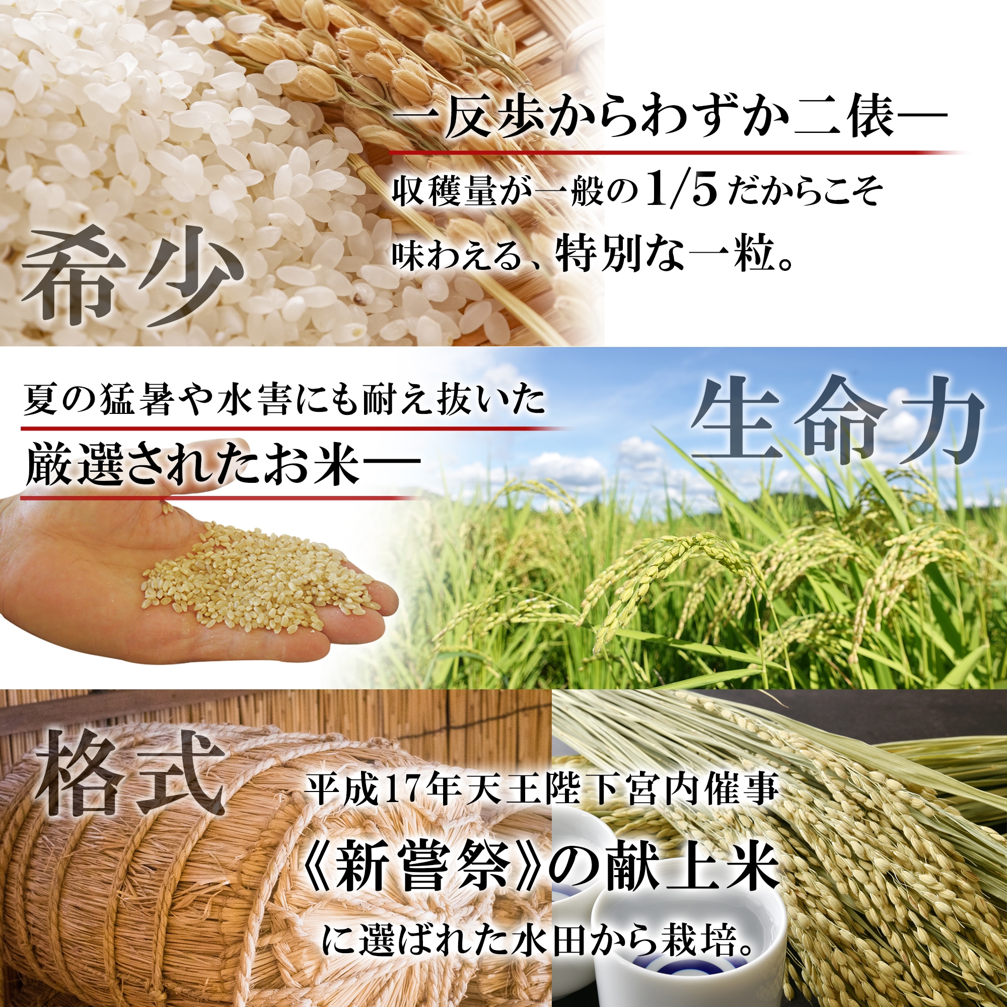 玄米5Kg】秋田県太平産あきたこまち/農家直送特別栽培米/令和7年度産