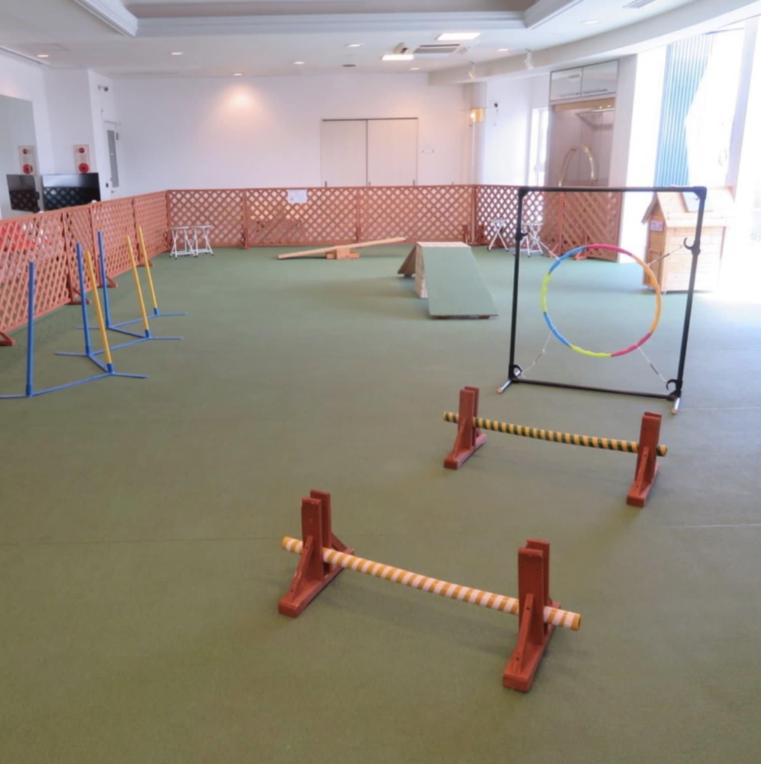 【2頭目以降用】室内ドッグラン利用券