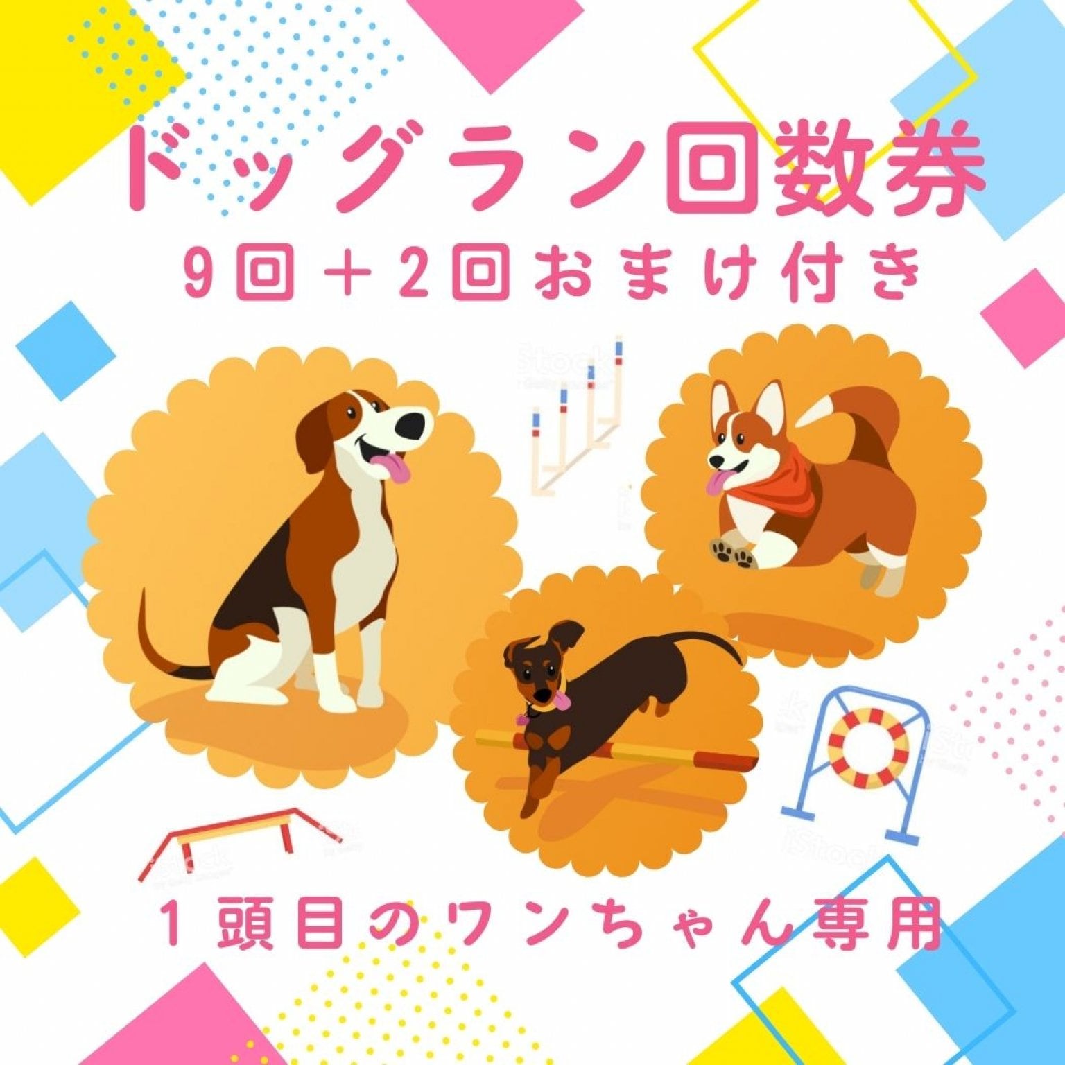 【1頭目のワンちゃん専用】お得な11回分！室内ドッグラン利用回数券