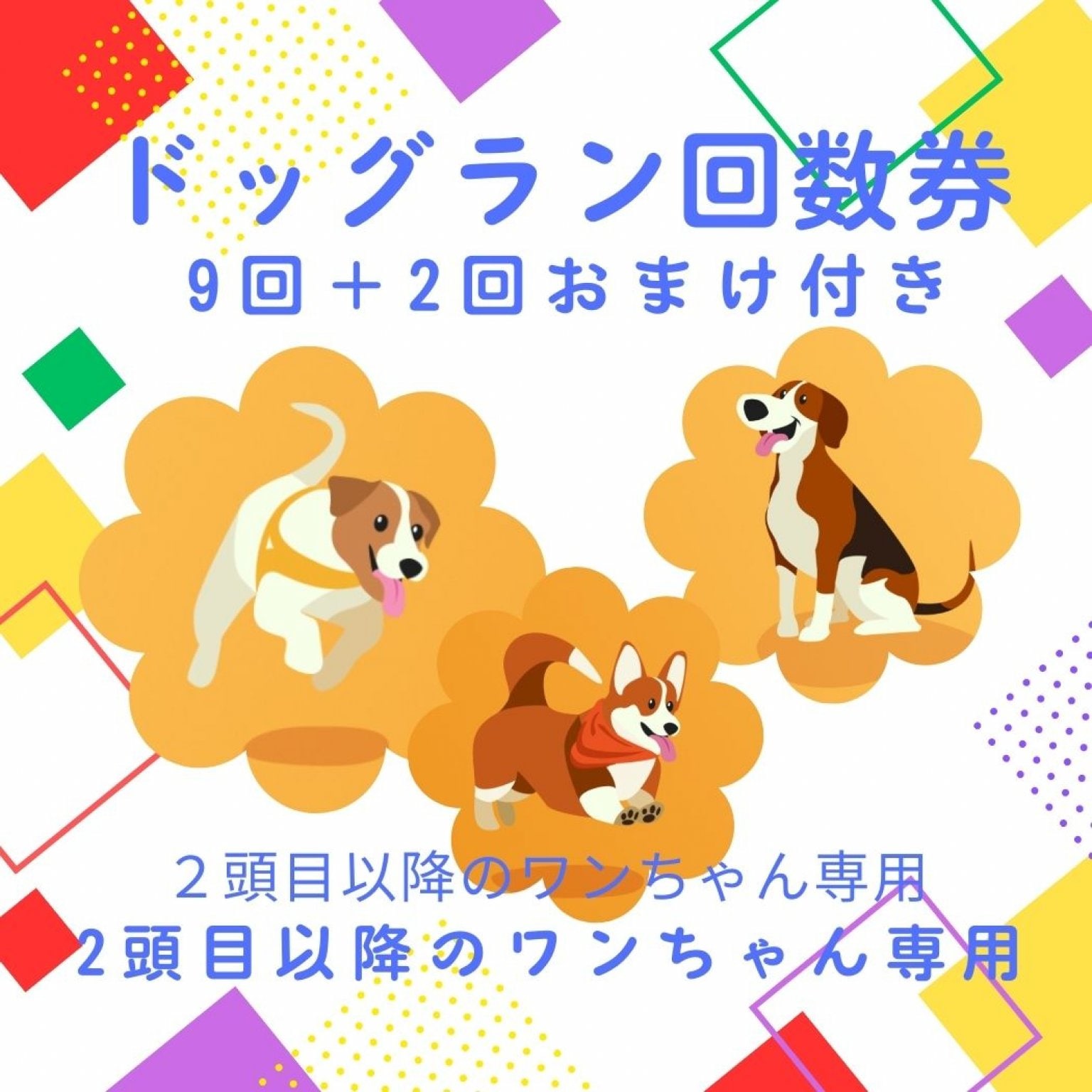 【2頭目以降のワンちゃん専用】お得な11回分！室内ドッグラン利用回数券