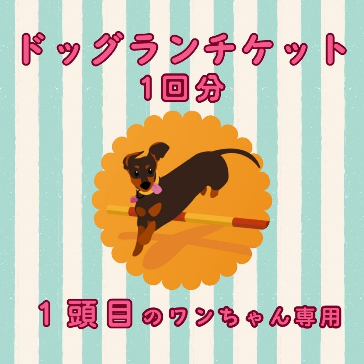 【1頭目用】室内ドッグラン利用券