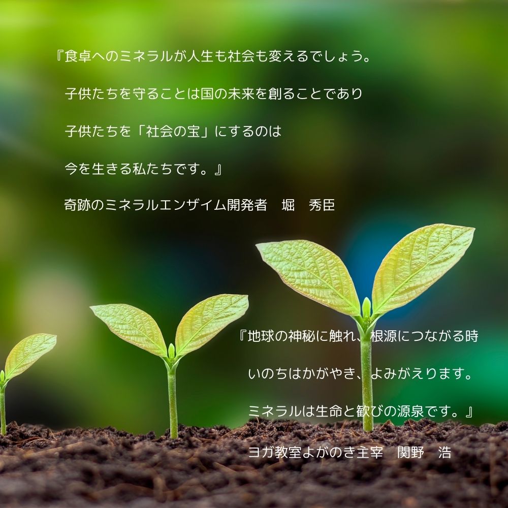 液体5本セット／奇蹟の天然ミネラル