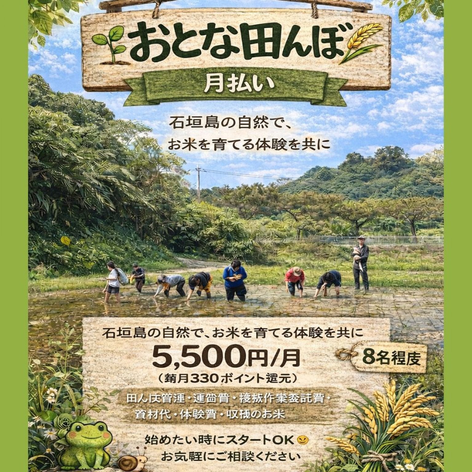 【サブスク専用】🌾 石垣島おとな田んぼ｜共創で育てる田んぼ（2026年2月〜7月）