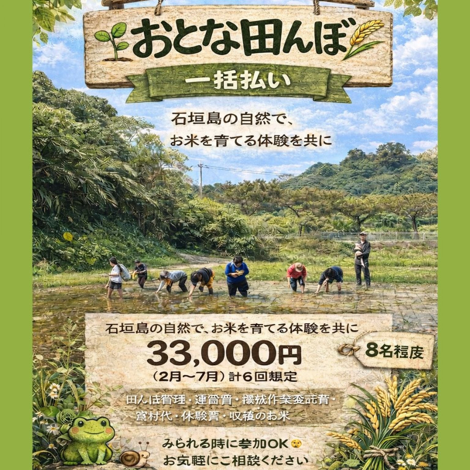 🌾 石垣島おとな田んぼ｜共創で育てる田んぼ（2026年2月〜7月）