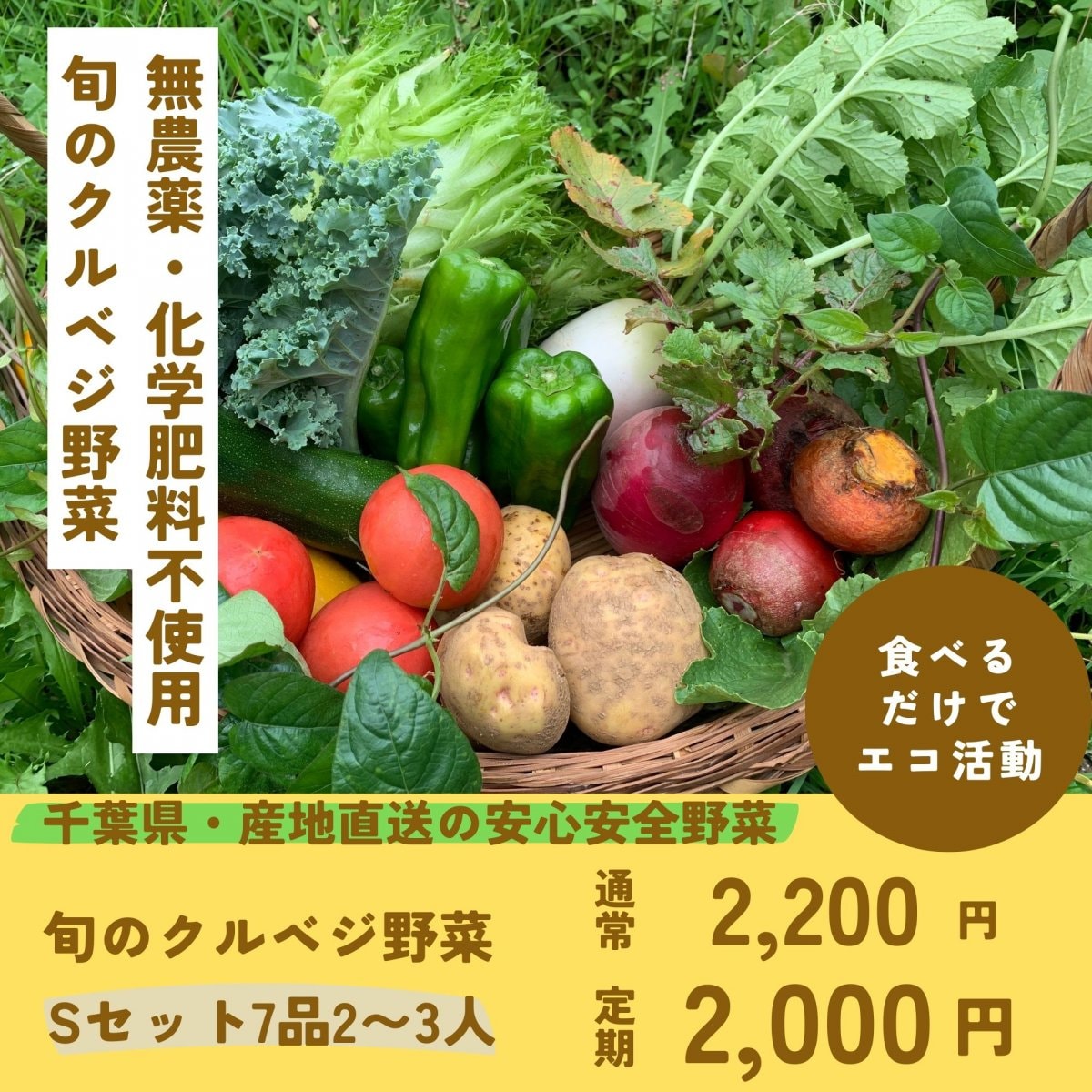 【Ｓセット７品２〜3人】「旬野菜クルベジセット」千葉県産の農薬・化学肥料不使用の安心安全のお野菜セットを全国発送。地球に優しい特別栽培のクルベジ野菜で「食べるだけでエコ活動」を千葉県から全国へ広げています。