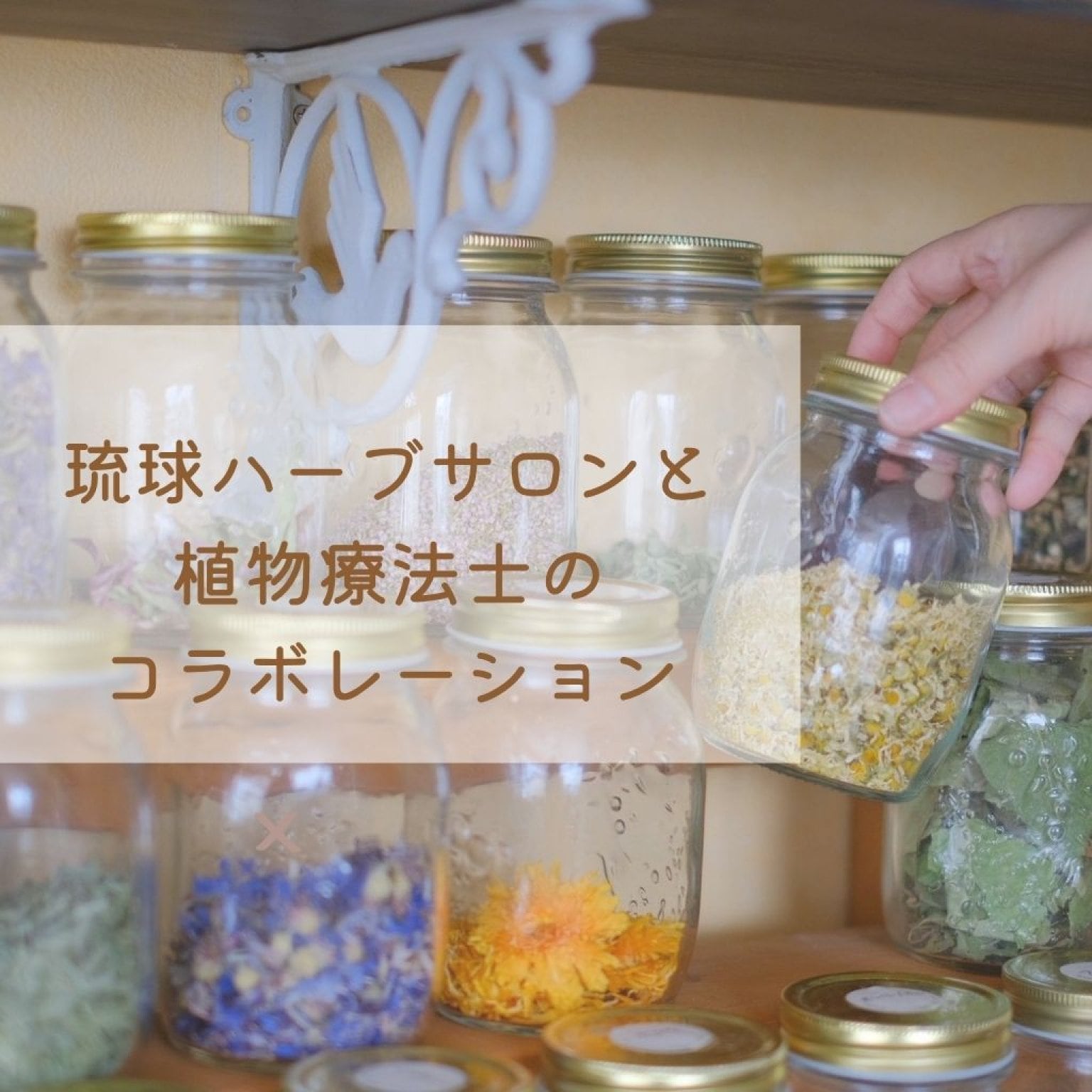 赤土琉球ハーブ蒸し × 北海道ハーブ 〜植物療法 カウンセリング付き〜