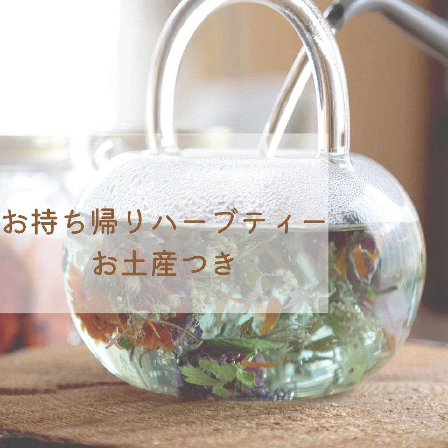 赤土琉球ハーブ蒸し × 北海道ハーブ 〜植物療法 カウンセリング付き〜