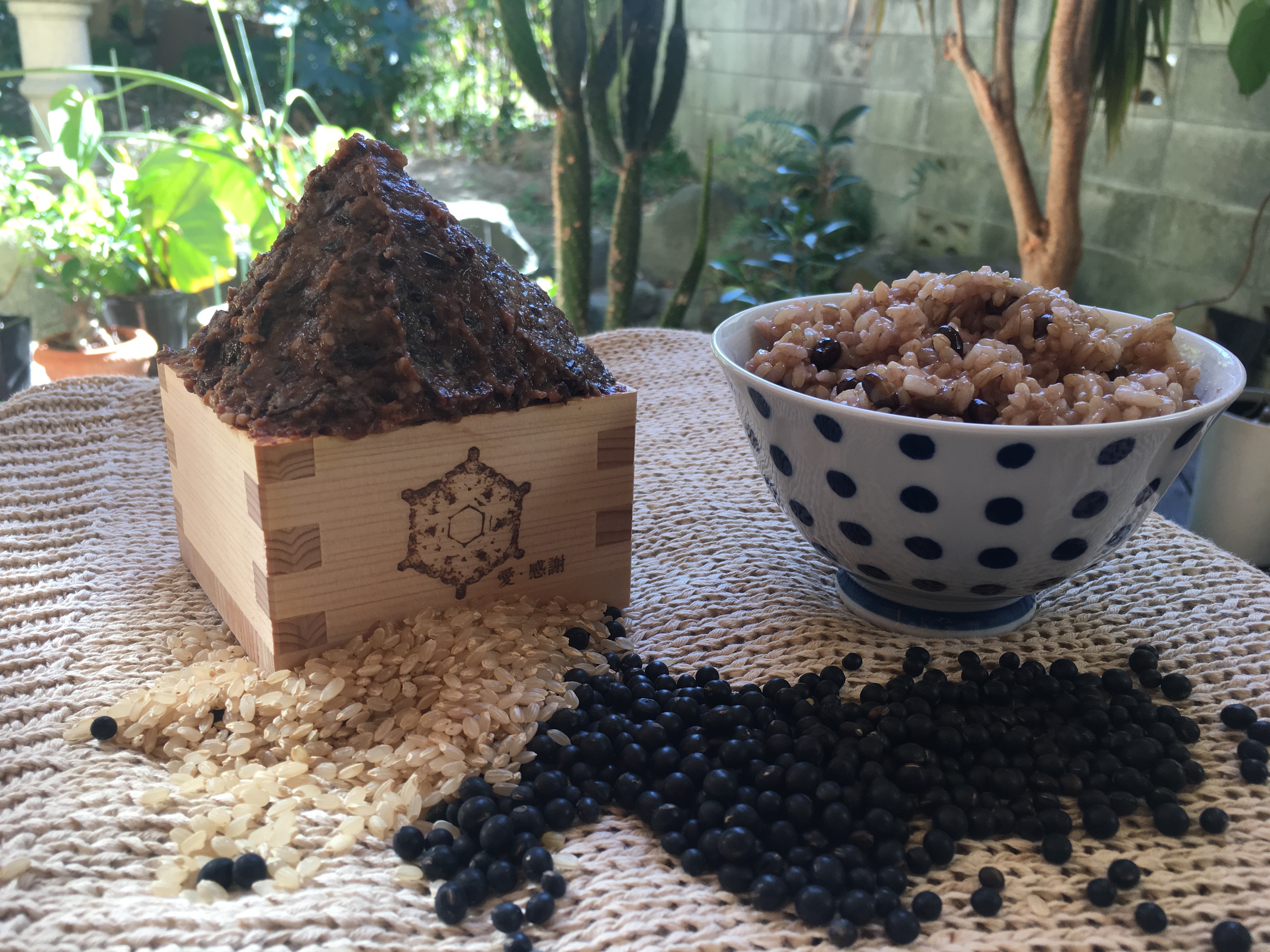 黒千石大豆 原種1kg 【メンバー限定商品】