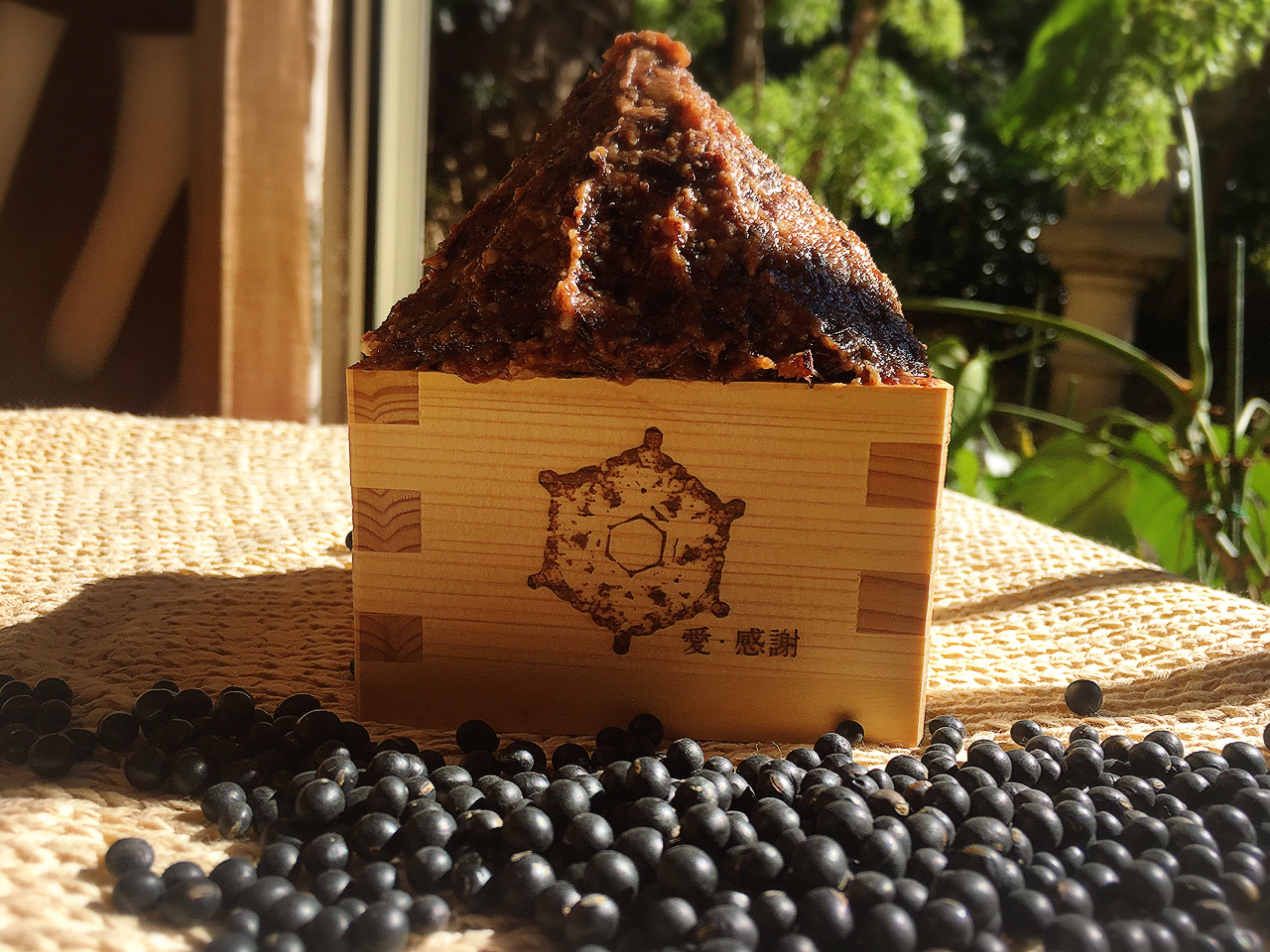 黒千石大豆 原種1kg 【メンバー限定商品】