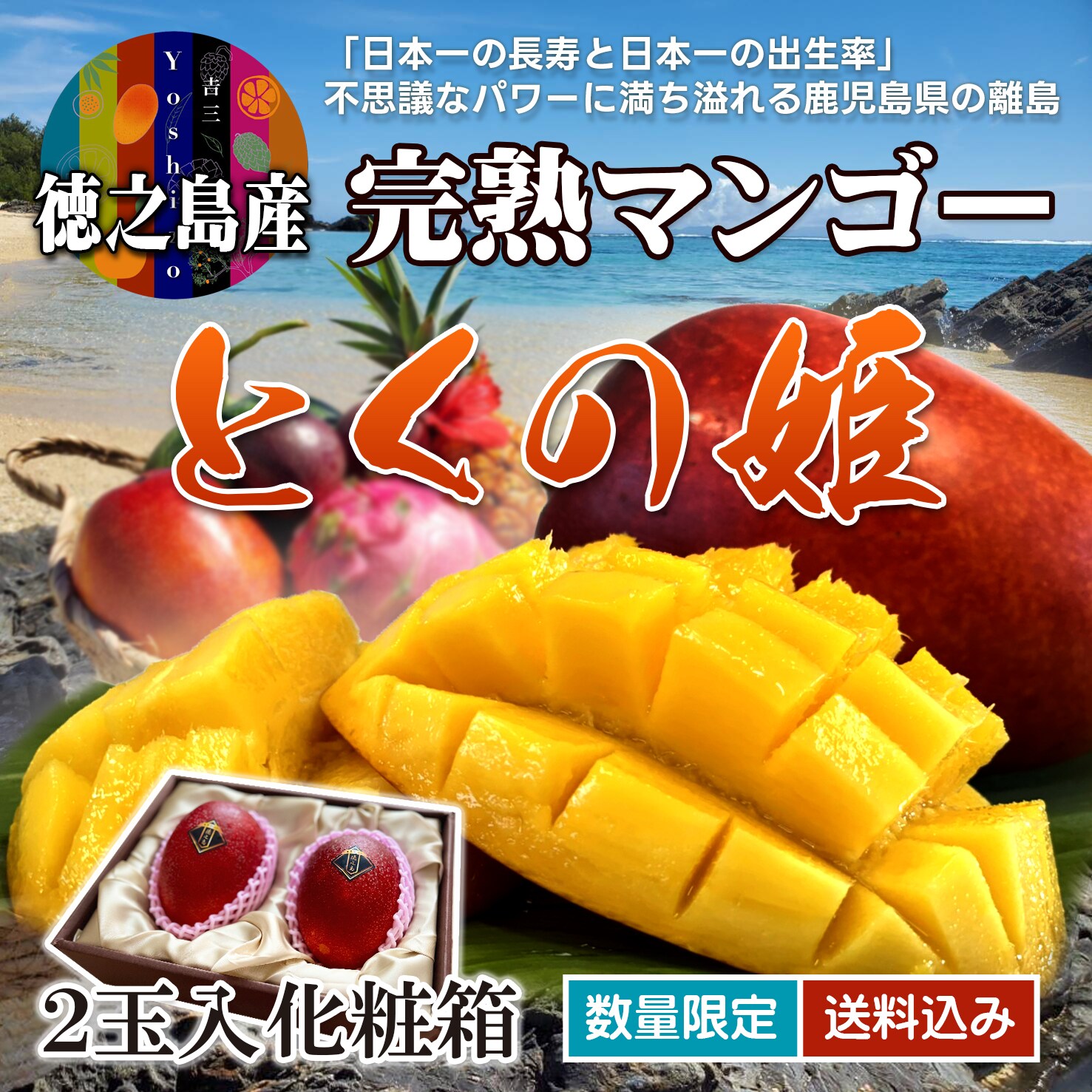 化粧箱入り】徳之島産プレミアムマンゴー「とくの姫」1kg2.3玉入り〇