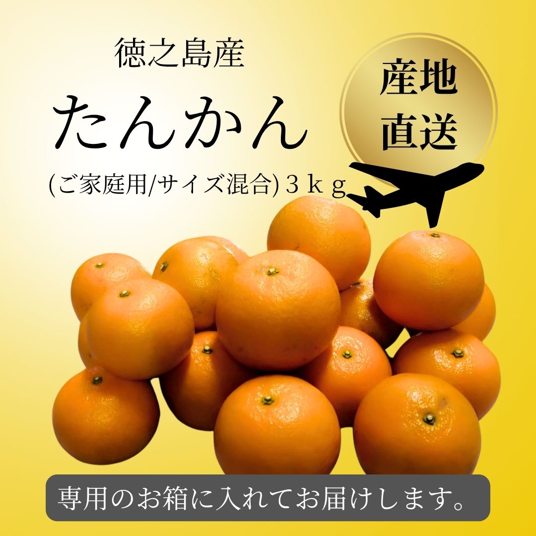 徳之島産たんかん【ご家庭用】3kg入り（サイズ混合）送料込み/高