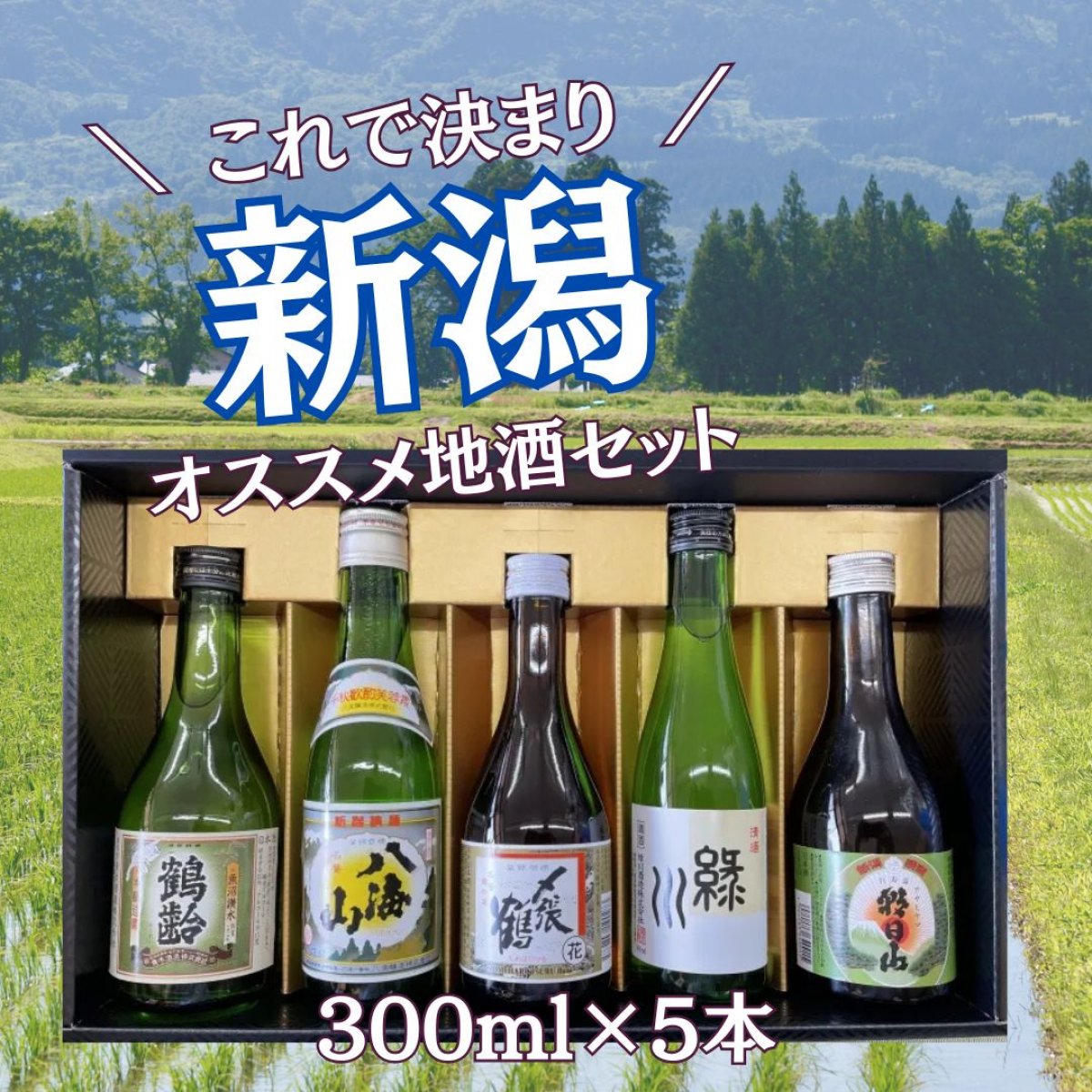 越後銘酒呑み比べセット　各300ml　5本セット