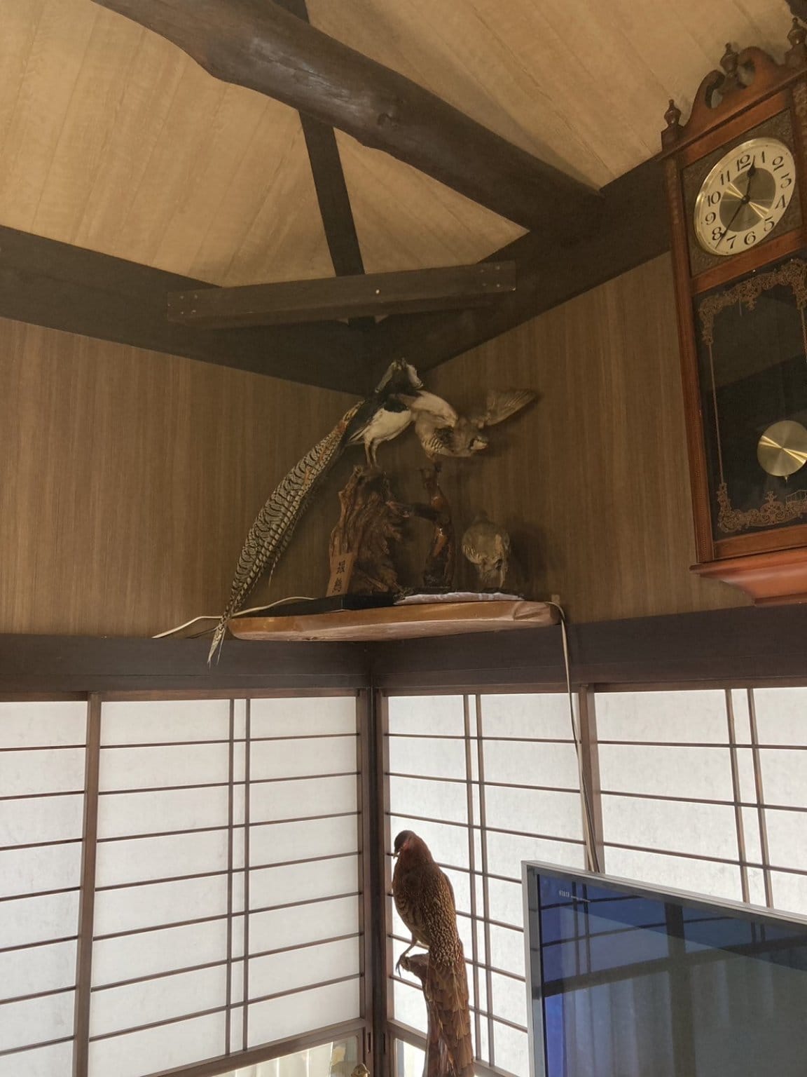 団体5名～8素泊まりプラン：茨城県かすみがうら市【民和の郷】