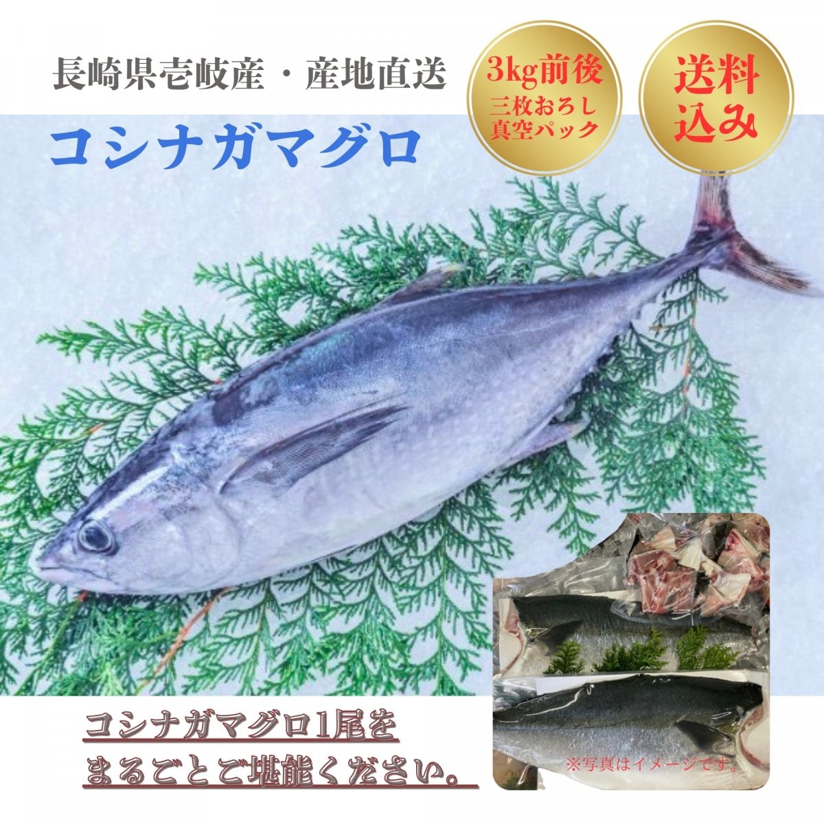 長崎県壱岐産コシナガマグロ(3㎏前後)【選べる！初回購入者 豪華特典】年末年始に嬉しい！捌いた状態でお届け！｜食べ尽くしセット【冷蔵クール便】｜お歳暮にも｜Fisher☆ヒロ