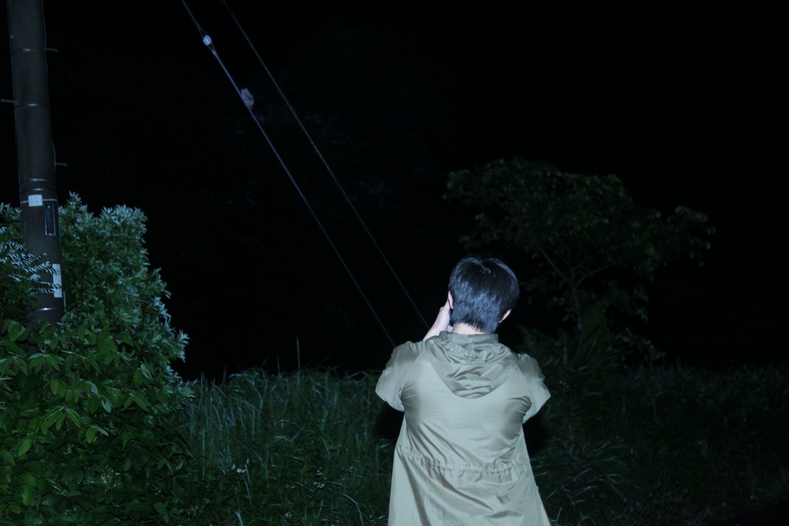 ドキドキワクワク　ナイトサイクルサファリツアー