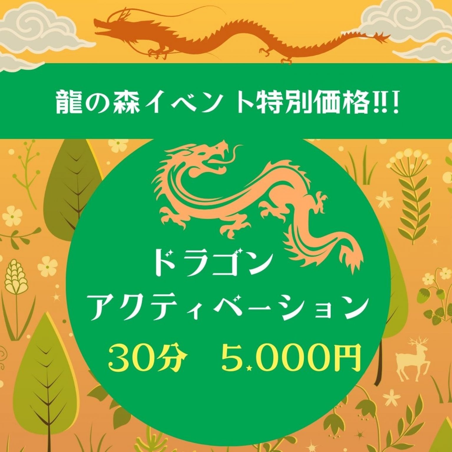 ドラゴンワーカーズ 龍の森 代表：寺西真早子 | あなたの守護龍を召喚