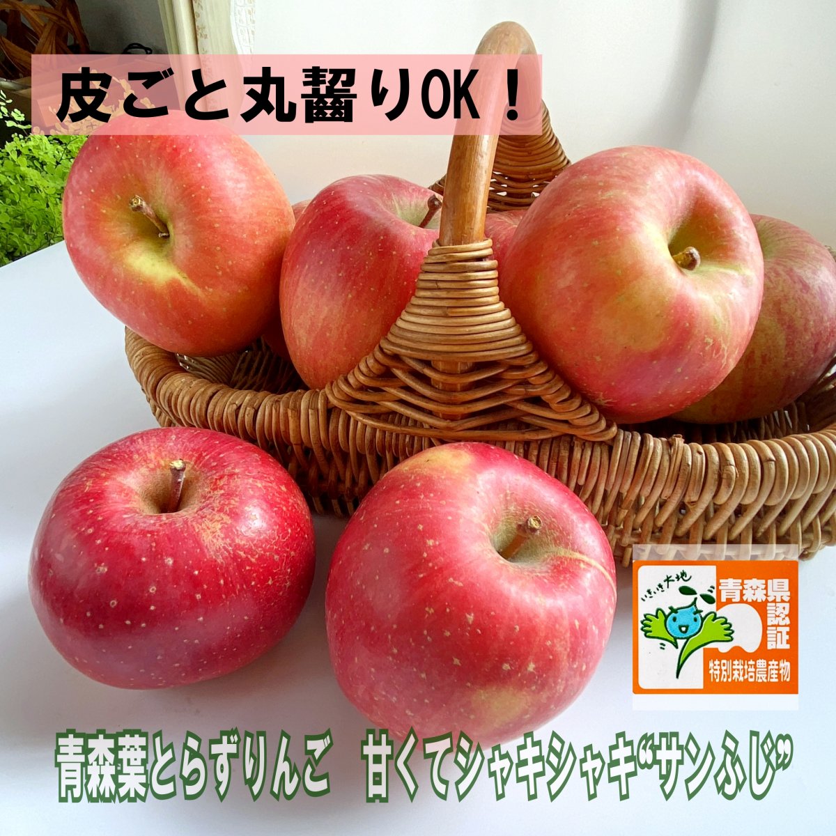 今が旬！青森葉とらずりんご 「甘くてジューシー！青森葉とらず林檎-サンふじ 」皮ごと食べられる 甘くてシャキシャキ   青森県特別栽培認定  産地直送