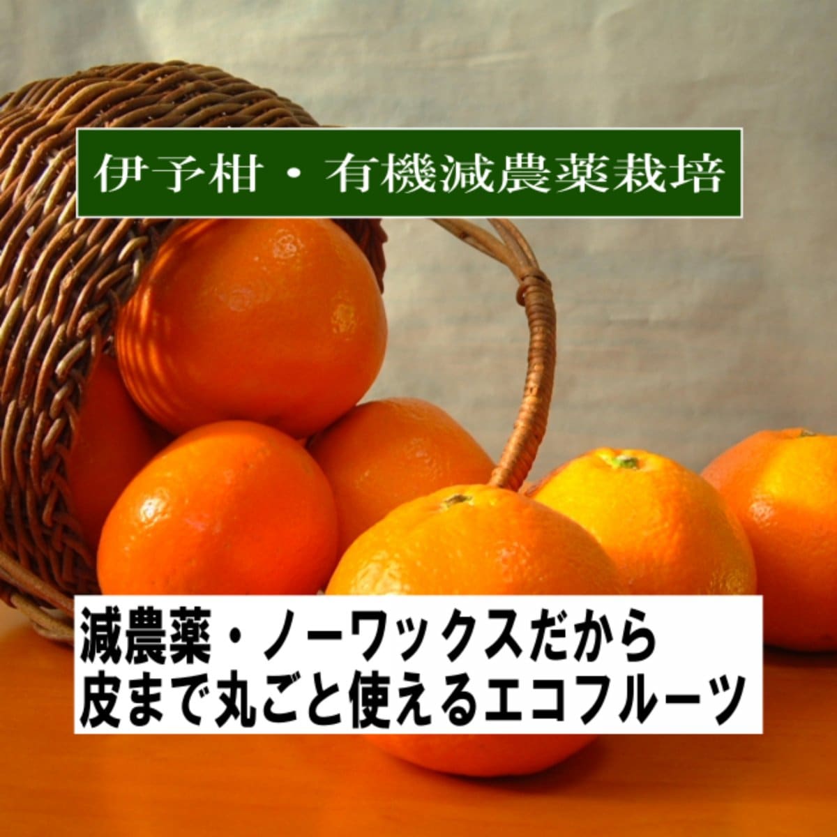 今年もスタート！季節のフルーツ 味香ん園（みかんえん）の厳選！伊予柑５㎏  有機減農薬栽培  愛媛県  柑橘類 みかん ご家庭用 数量・期間限定 ご予約承り中 期日指定不可