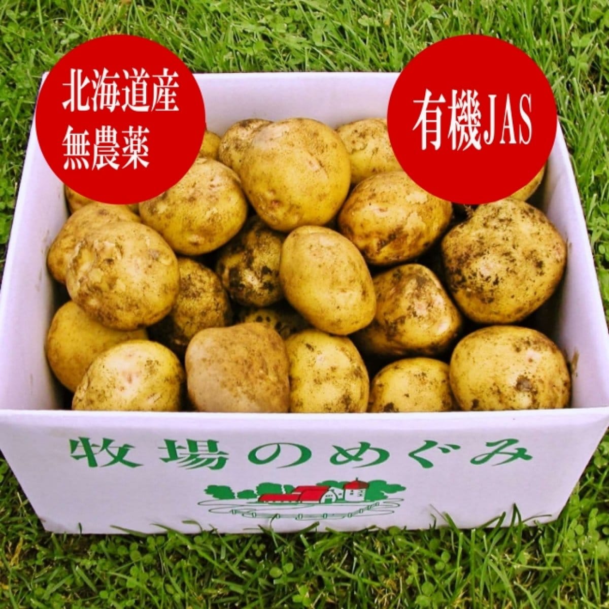 オーガニック 有機JAS  【北海道の有機ジャガイモ（男爵イモ、さやあかね）】 箱根牧場   甘くてホックホク 有機JAS ホックホク 甘い 煮込み料理 ポテト  産地直送 箱根牧場