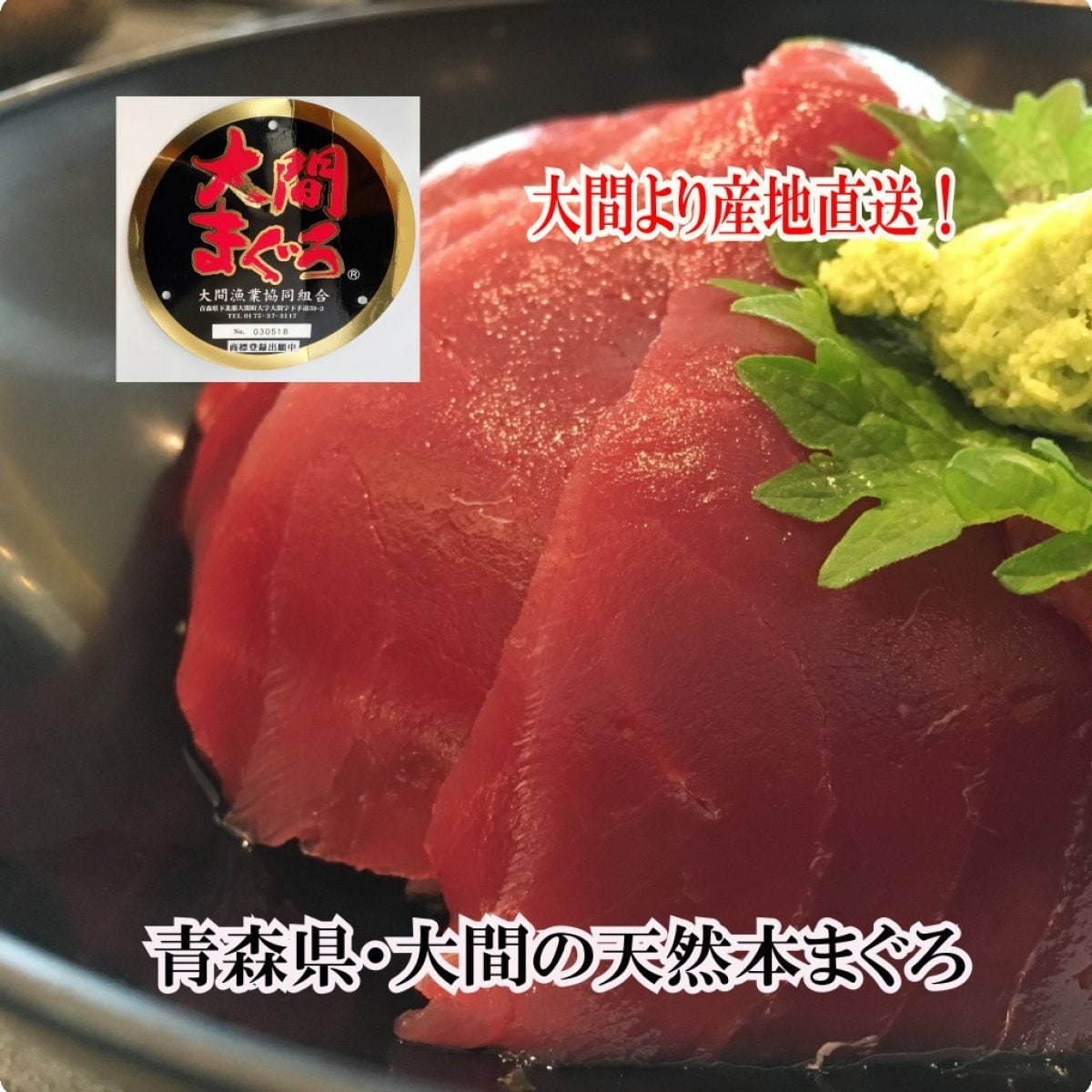 大間の天然本マグロ 赤身約200ｇ【送料無料/沖縄・離島は別途】大切な思い出の日のために！産地直送 黒マグロ 青森県 最北端 大間町 漁師直送 船上活き〆 無菌水使用 −60℃瞬間急速冷凍 【一部地域（九州・沖縄・離島は送料別途】