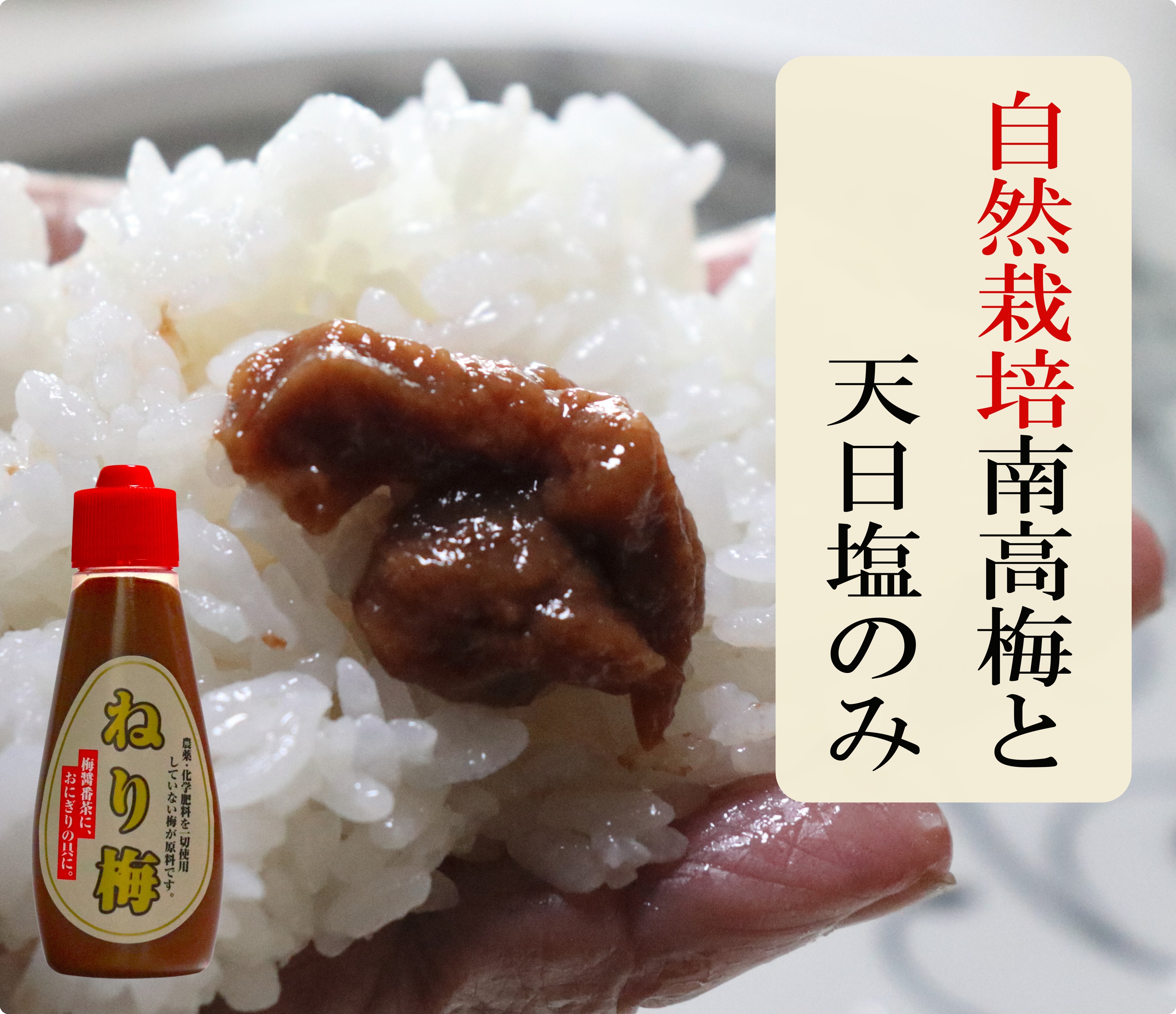 紀州自然栽培南高梅を天日塩だけで漬けた無添加 ねり梅/120g×3本