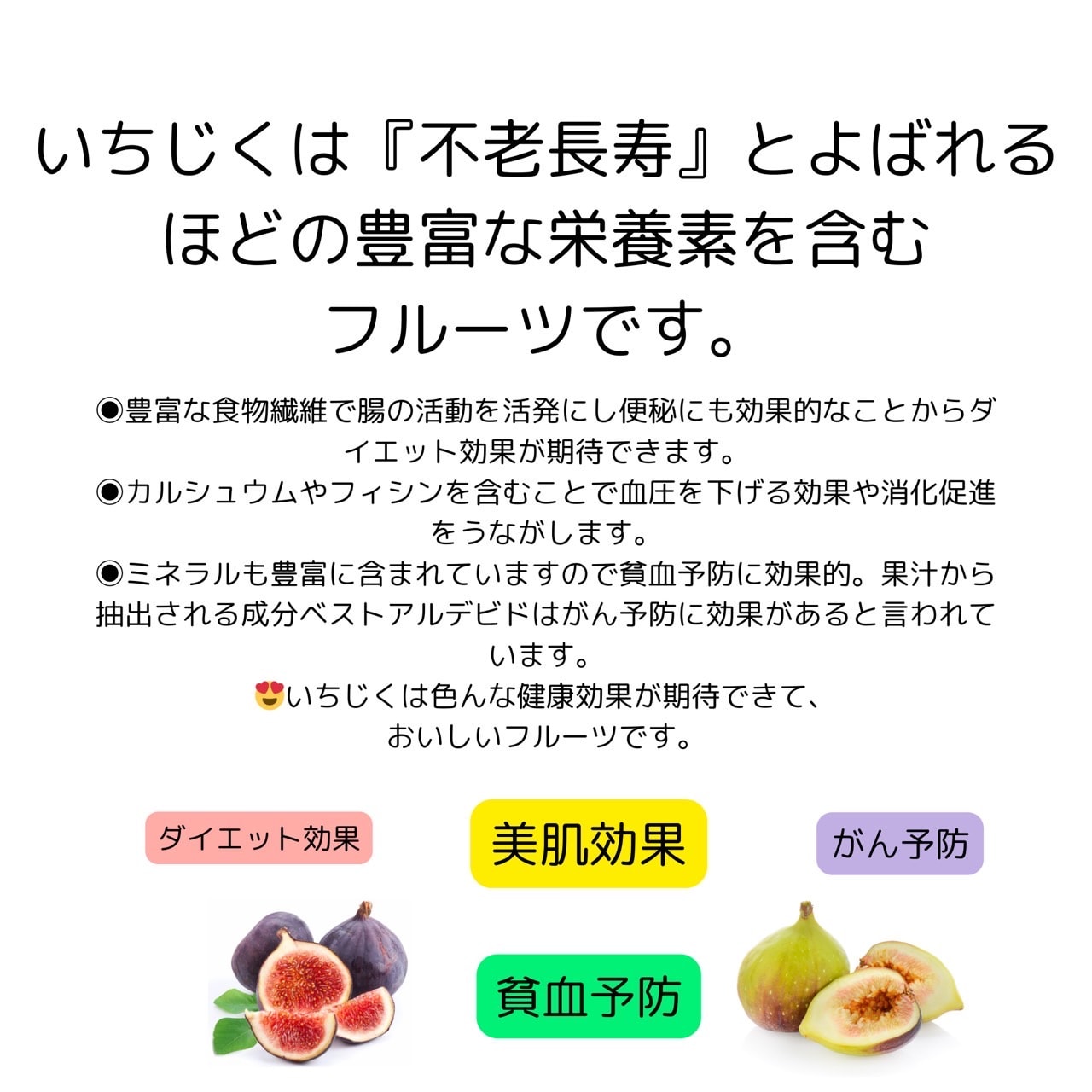 大阪産朝採れ黒イチジク（ヌアールドカロン）12個入り／クール便送料込