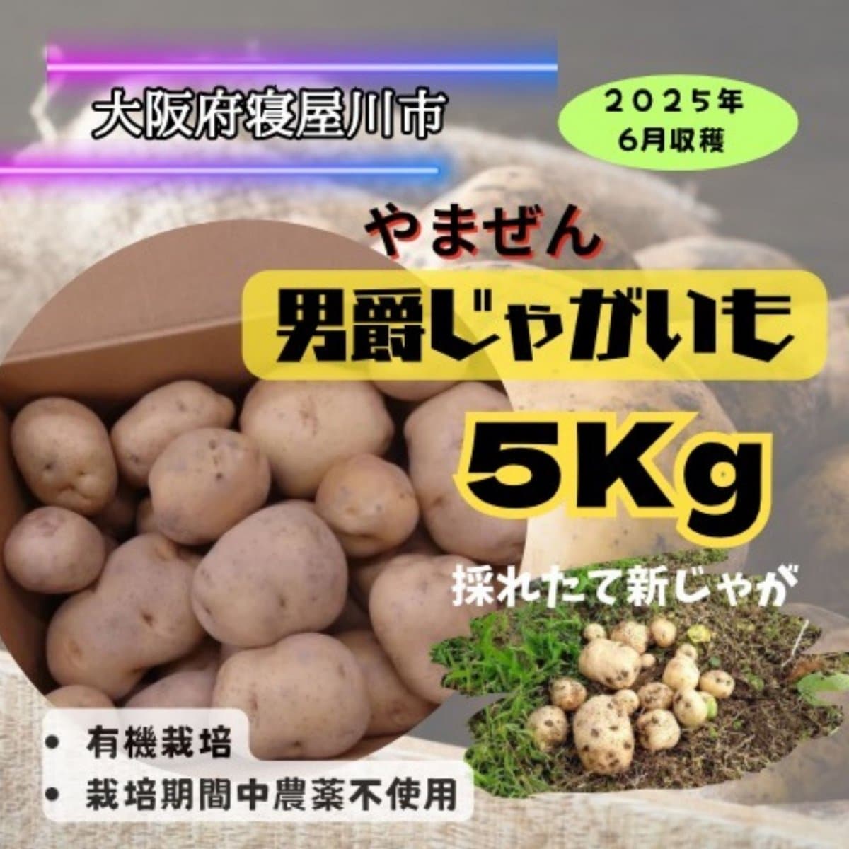 【有機栽培】大阪府寝屋川市産/男爵いも5㎏/送料込(北海道・北東北・沖縄を除く)