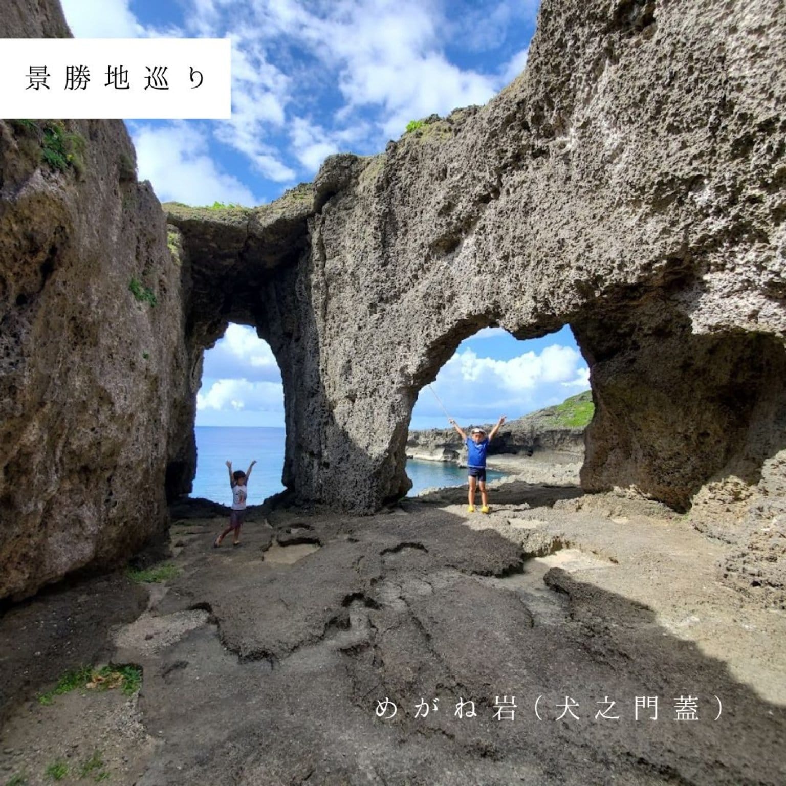 半日エコツアー・3時間コース(お一人様用)サクッと堪能できます!! by旅友Tokunoshima※参加人数分ご購入ください