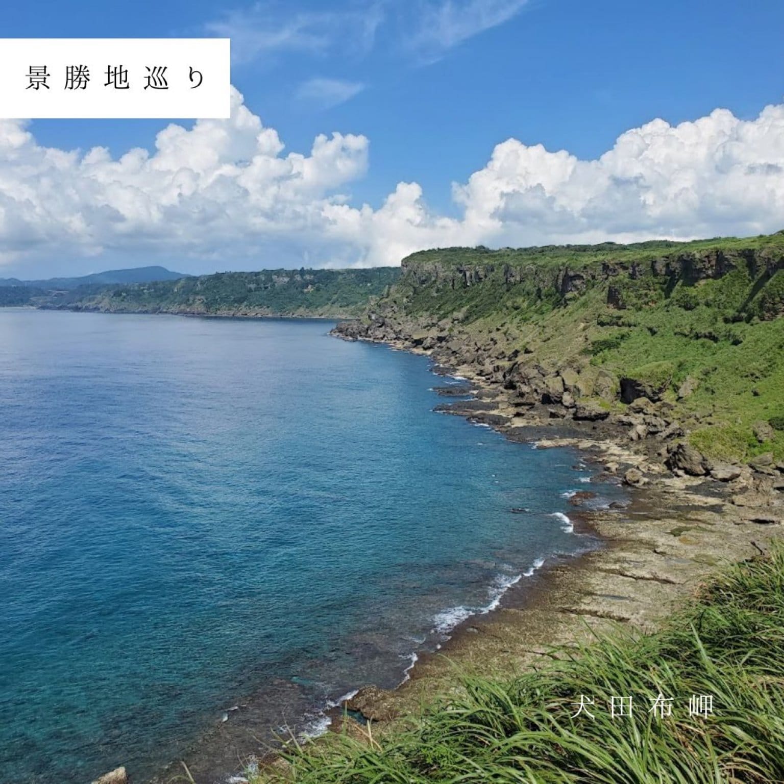 半日エコツアー・3時間コース(お一人様用)サクッと堪能できます!! by旅友Tokunoshima※参加人数分ご購入ください