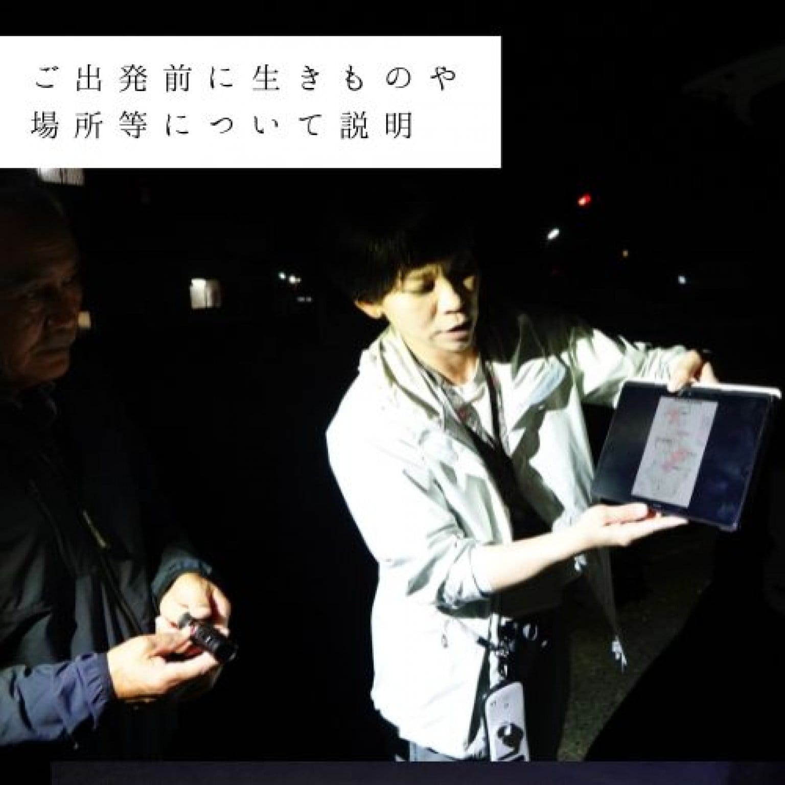 夜の森探検エコツアー・約3時間コース(お一人様用)徳之島の生物多様性を体感!! by旅友Tokunoshima