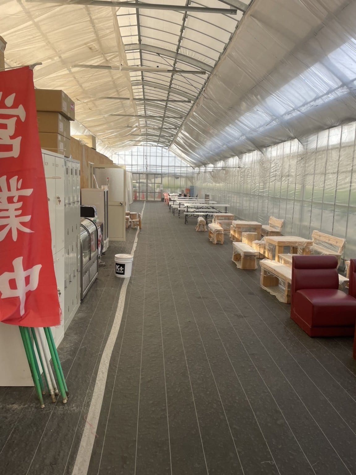 いちご狩り30分間食べ放題コース/大人（中学生以上）収穫体験/3/1～4/6 