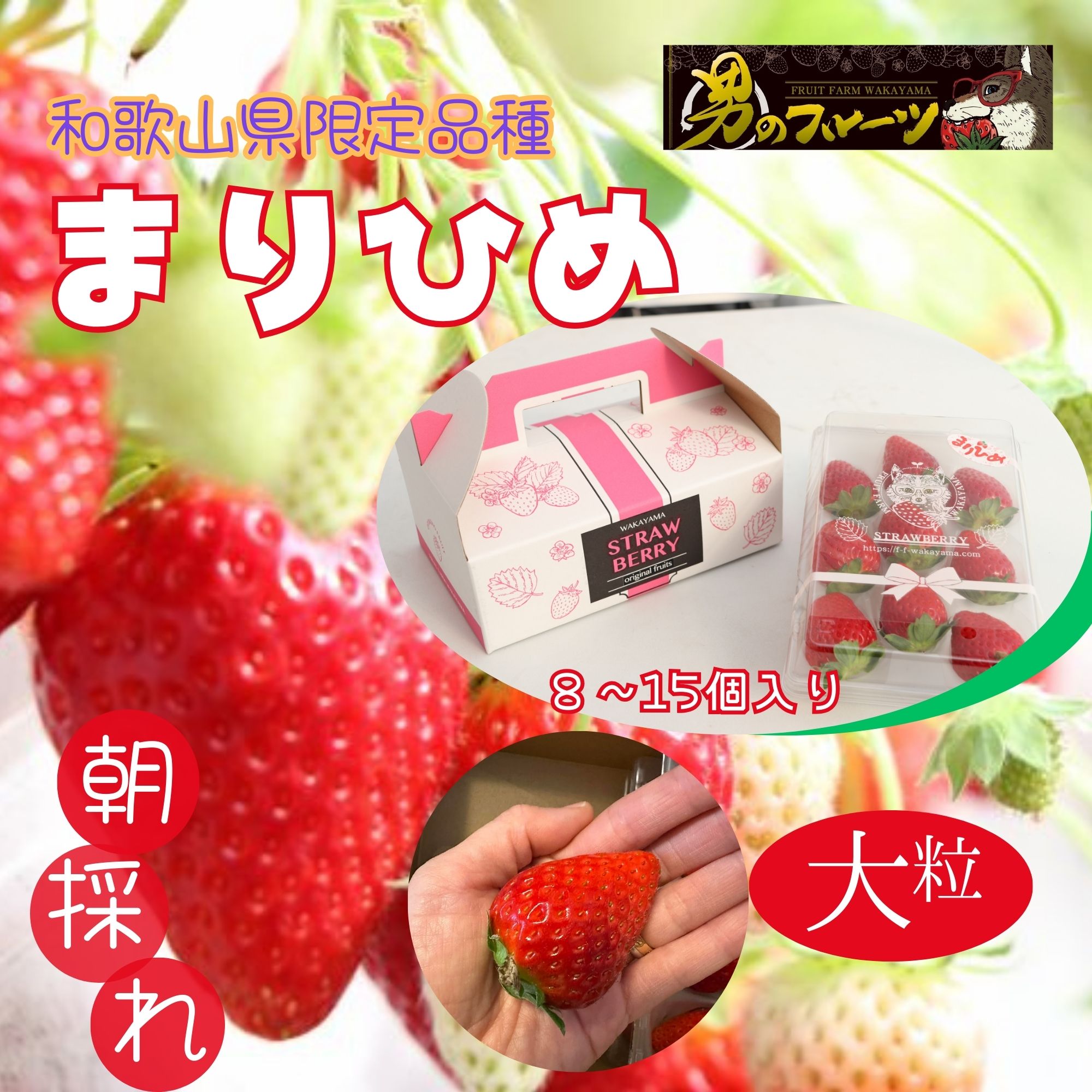 高ポイント】和歌山県限定品種 まりひめいちご(8〜15個)和歌山県