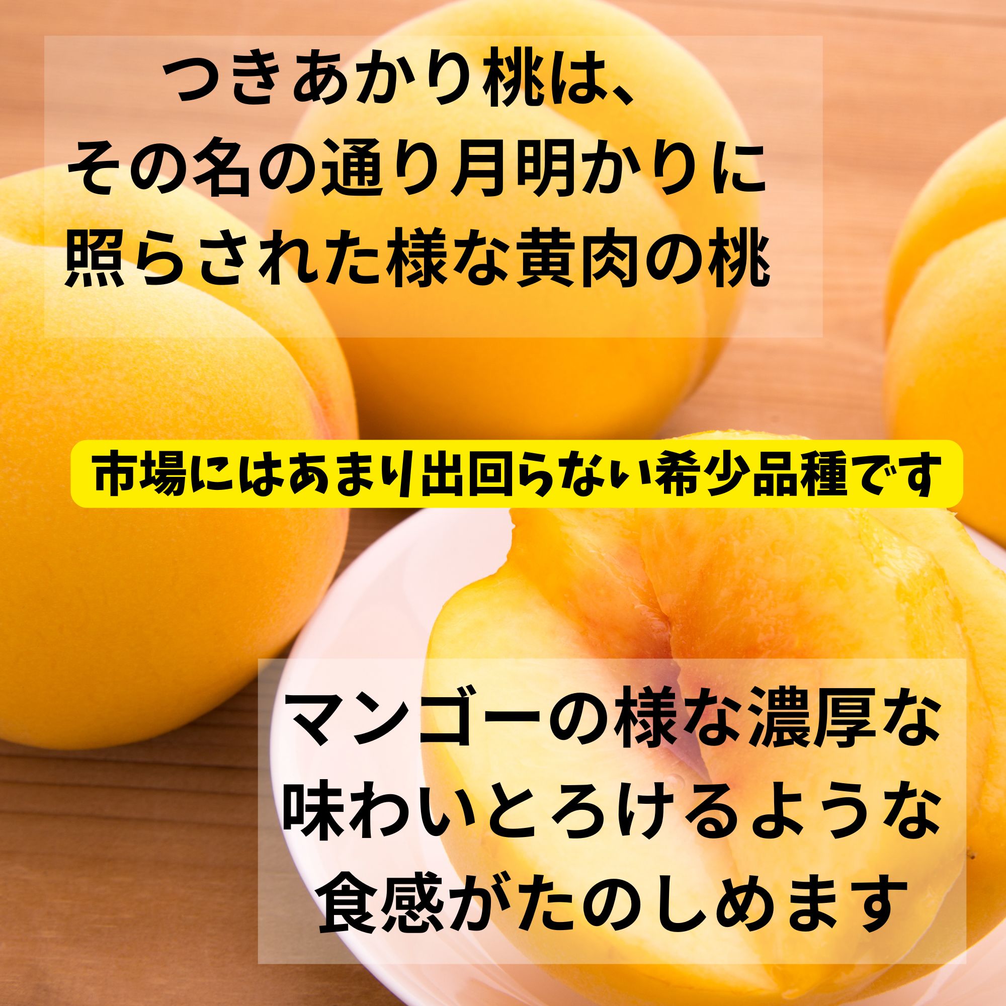 先行予約スタート！【数量限定・期間限定・高ポイント還元】和歌山県