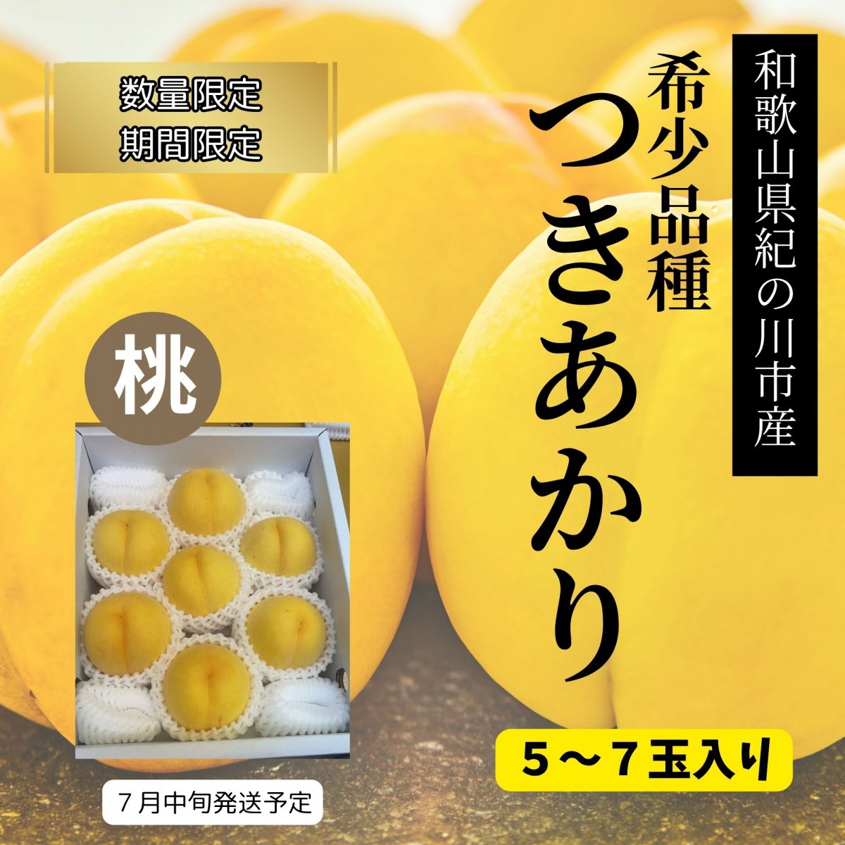 【数量限定・期間限定・高ポイント還元】和歌山県紀の川市産　希少品種つきあかり桃(有機肥料・減農薬栽培)５〜７玉入り/送料込み（一部地域を除く）/クール便でお届け　7月中旬より順次発送