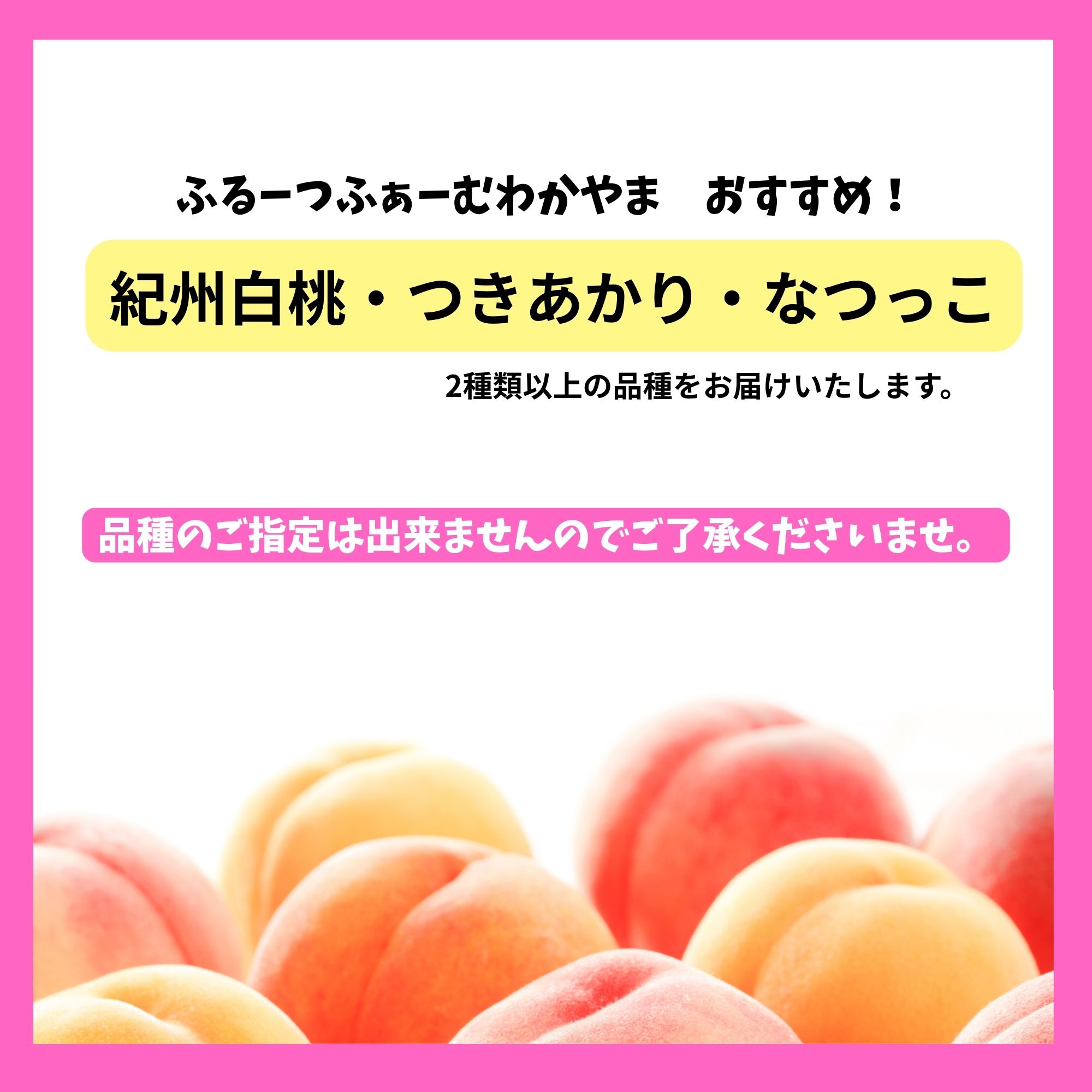 先行予約スタート【期間限定・数量限定・高ポイント還元】和歌山県