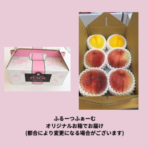 先行予約スタート【期間限定・数量限定・高ポイント還元】和歌山県