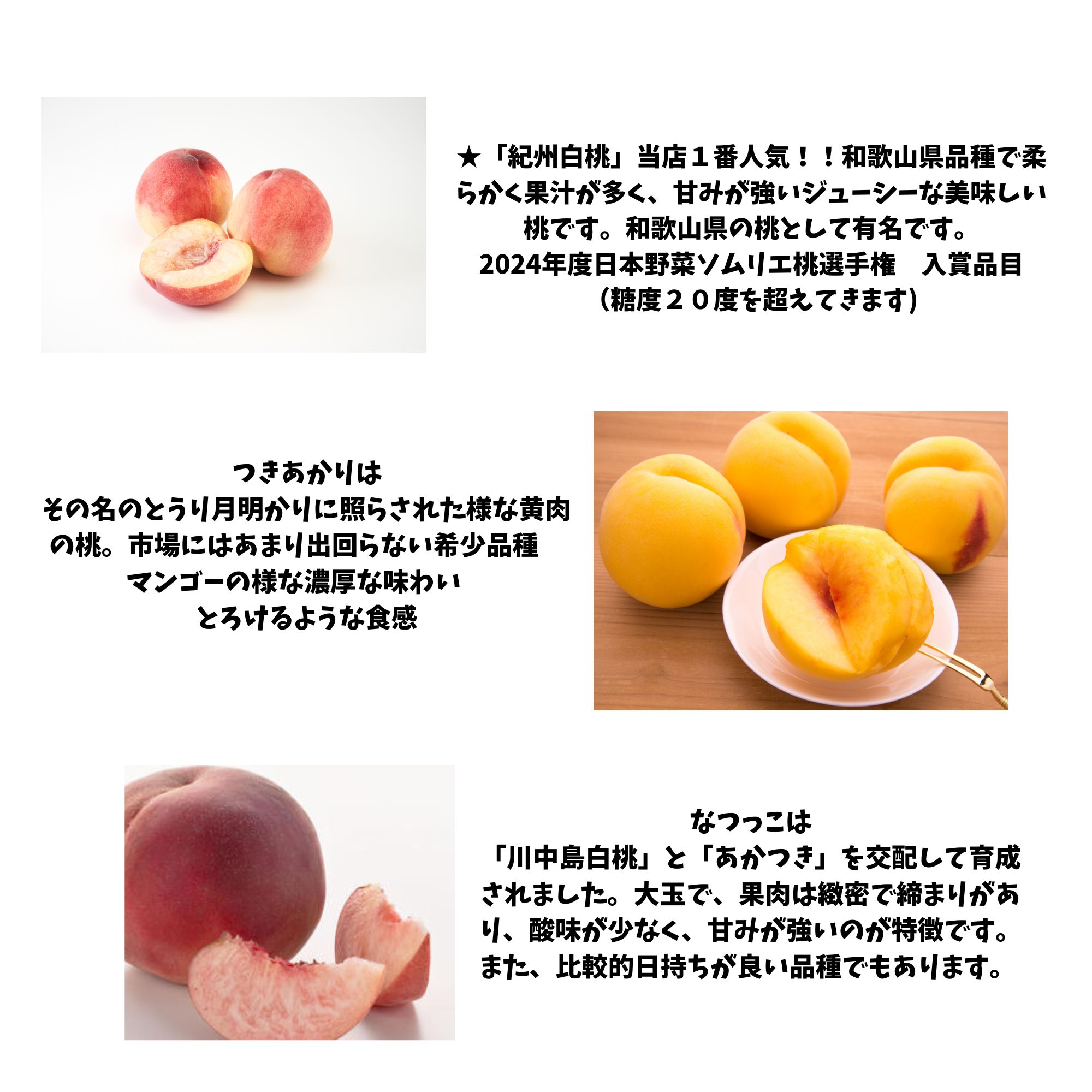 先行予約スタート【期間限定・数量限定・高ポイント還元】和歌山県 